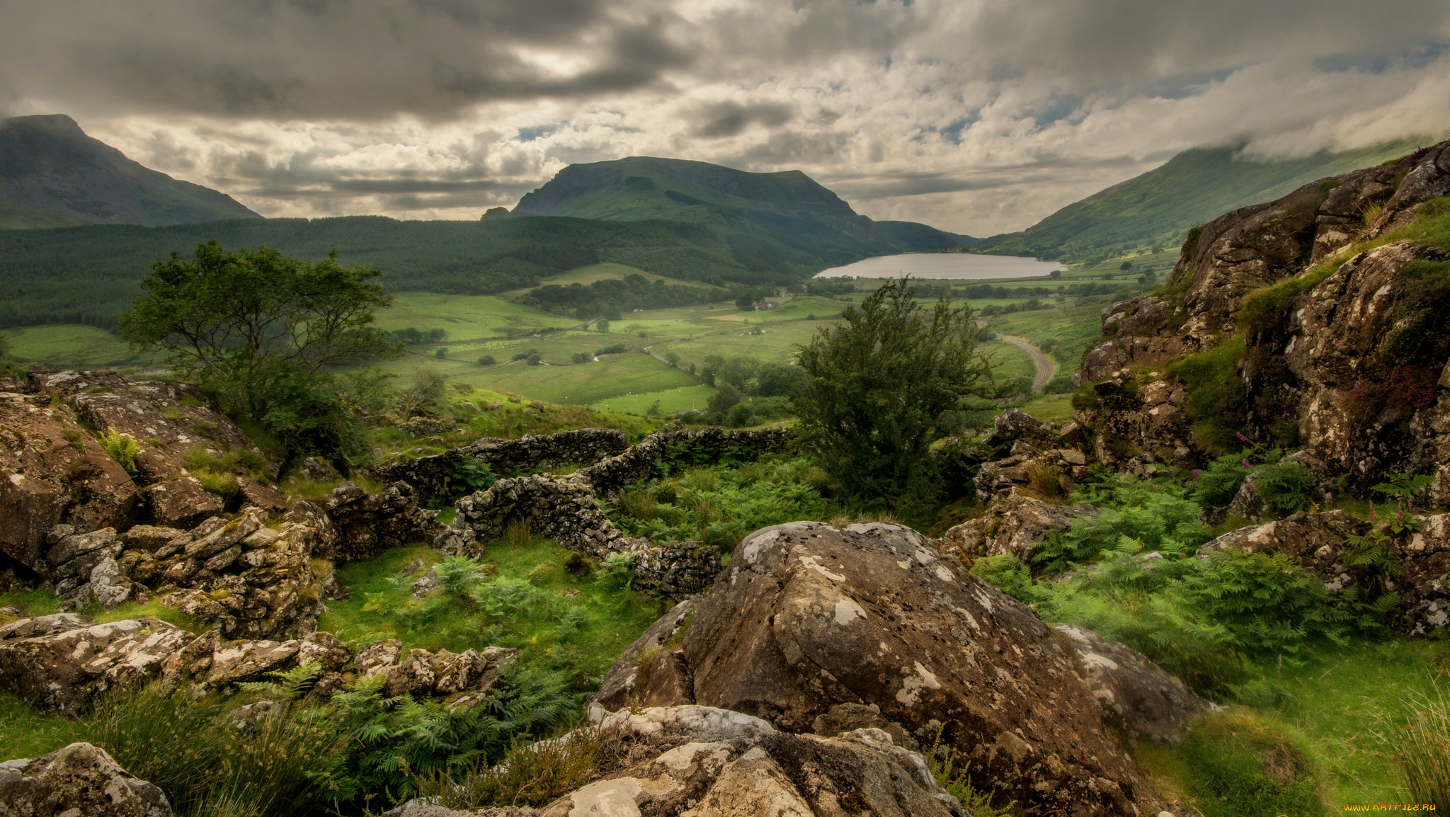 природа, пейзажи, простор