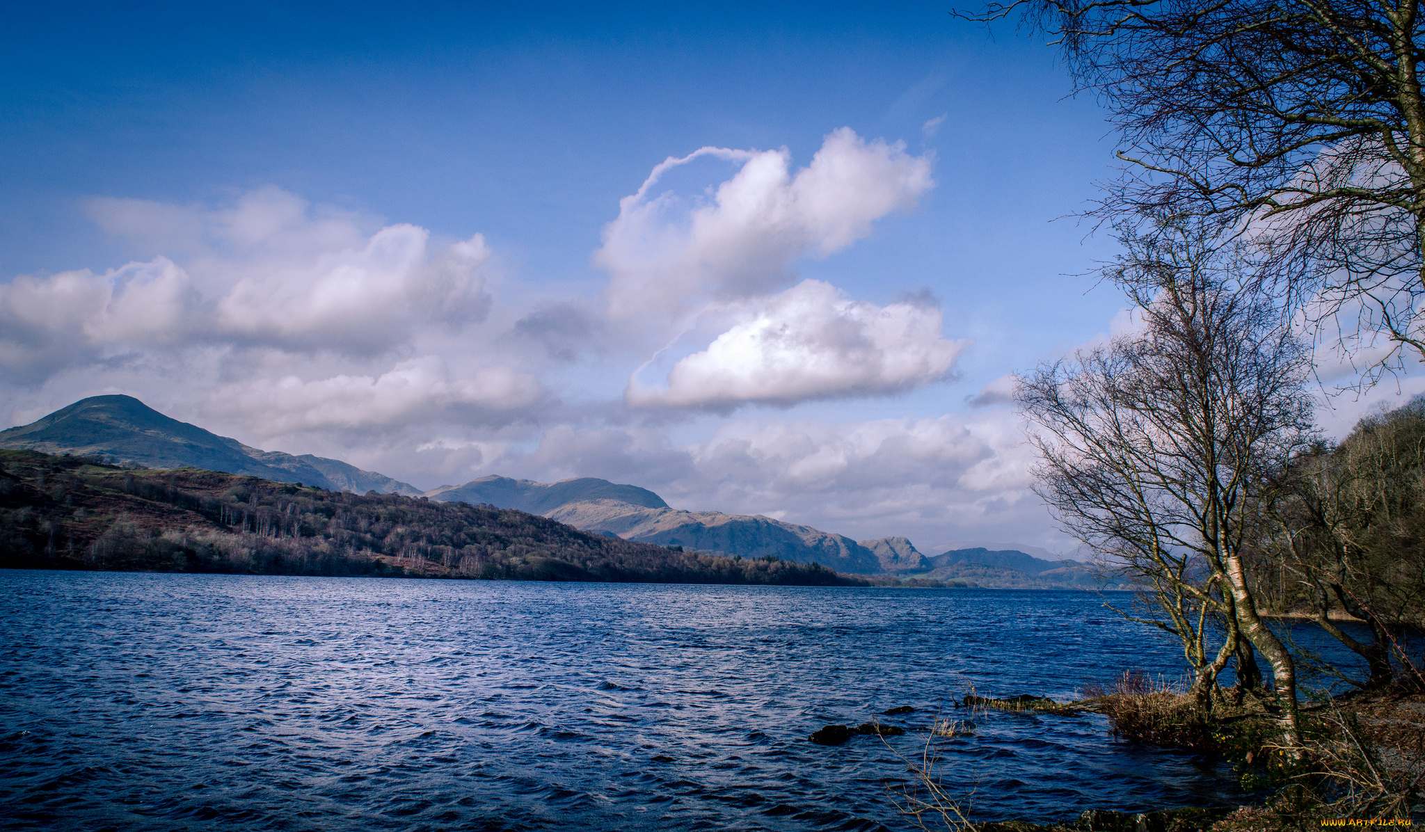 природа, побережье, простор