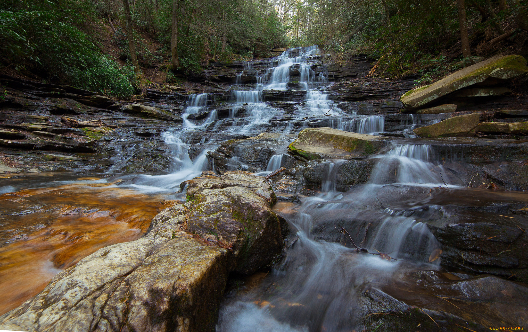 природа, реки, озера, простор