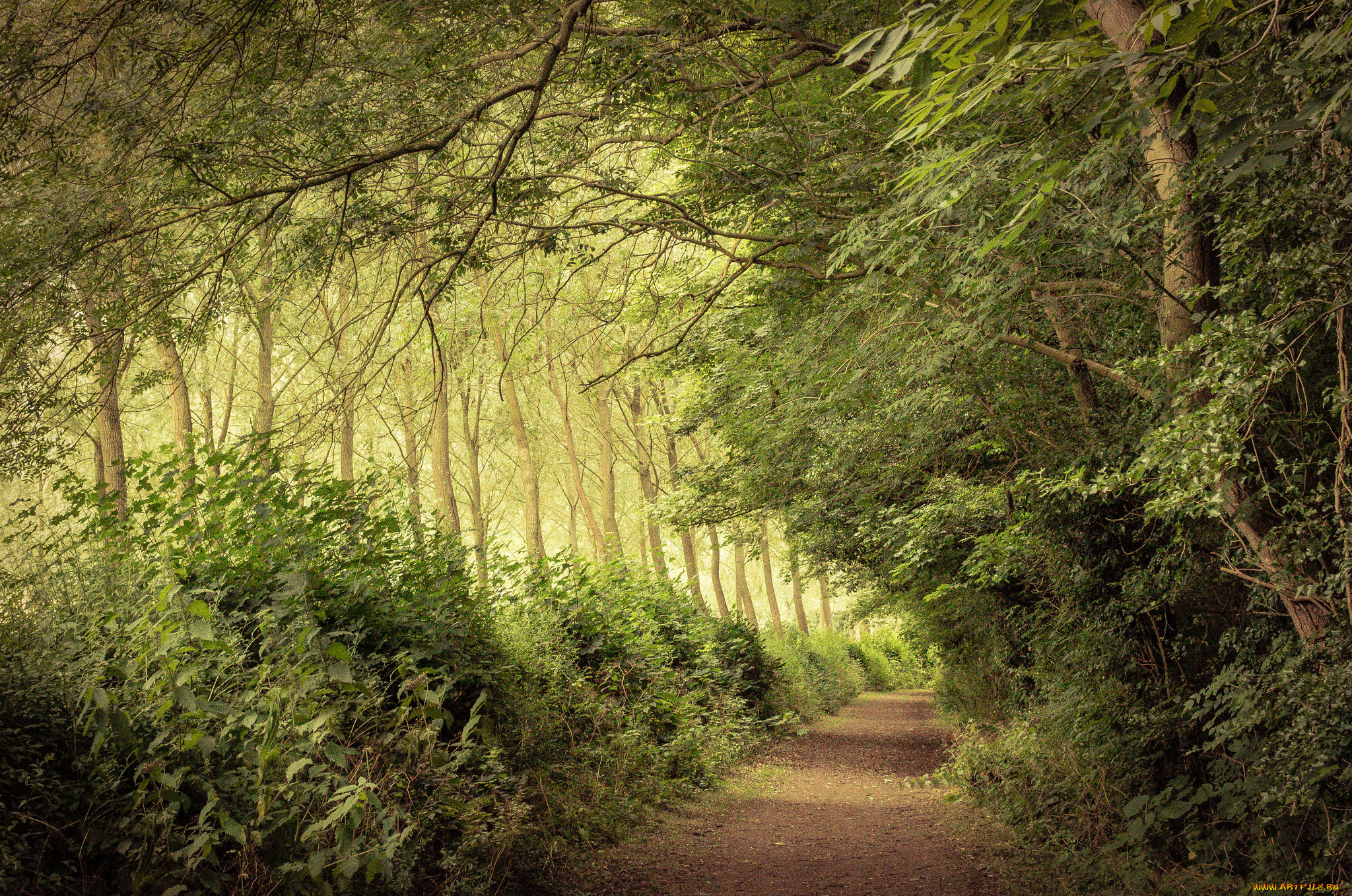 природа, дороги, простор