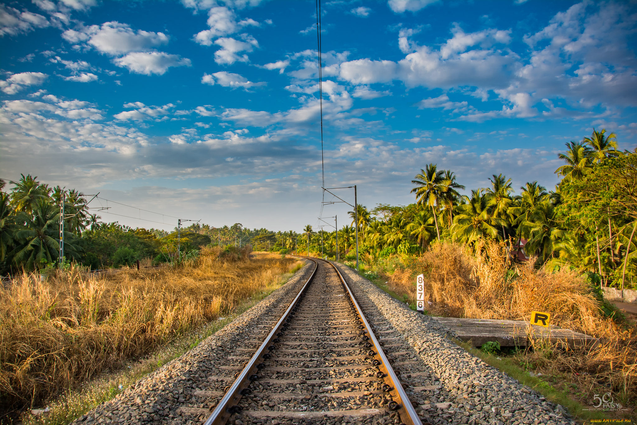 природа, дороги, простор