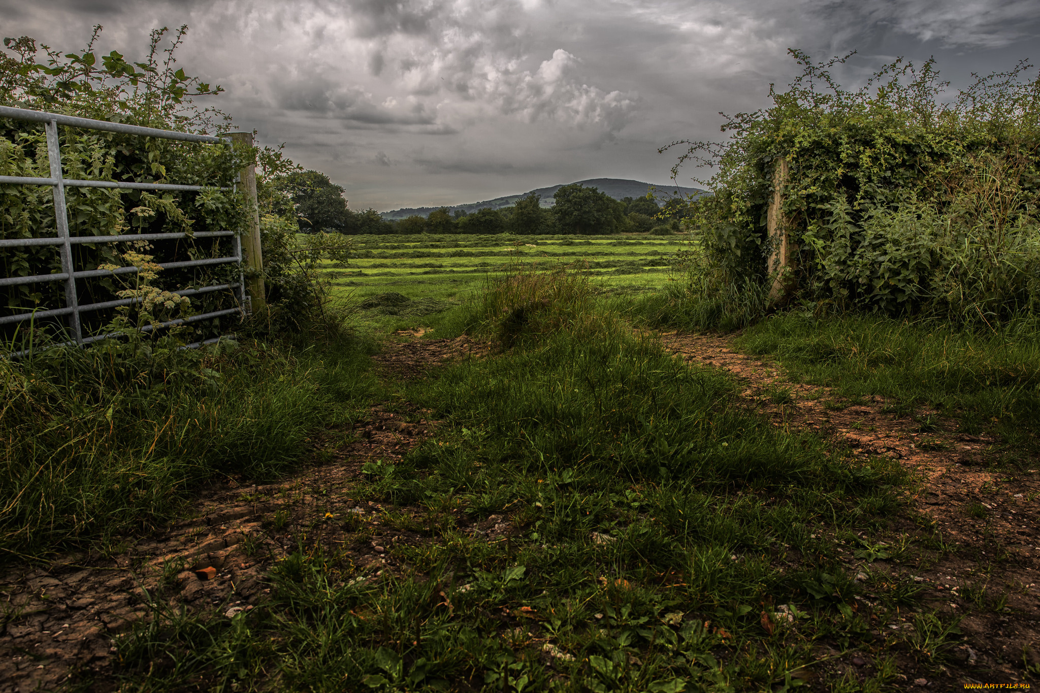 природа, дороги, простор