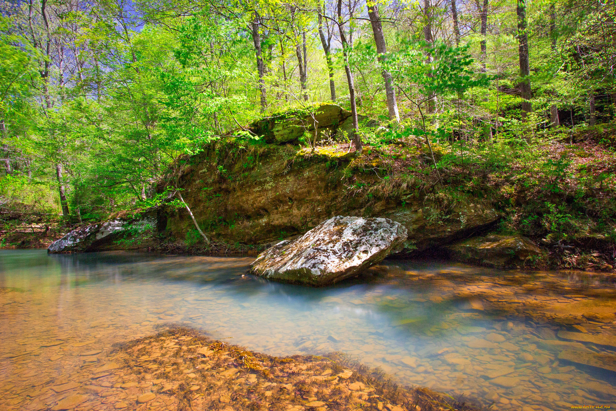 природа, реки, озера, простор