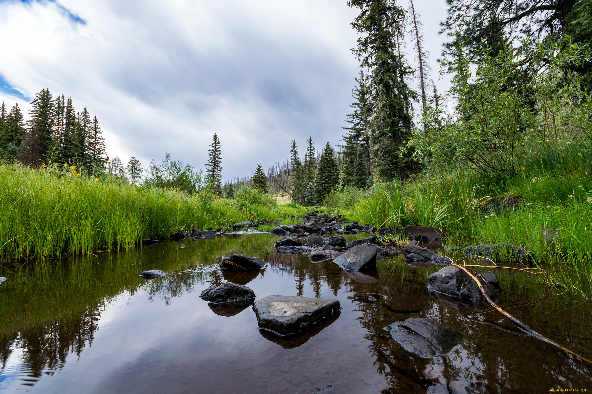 природа, реки, озера, простор