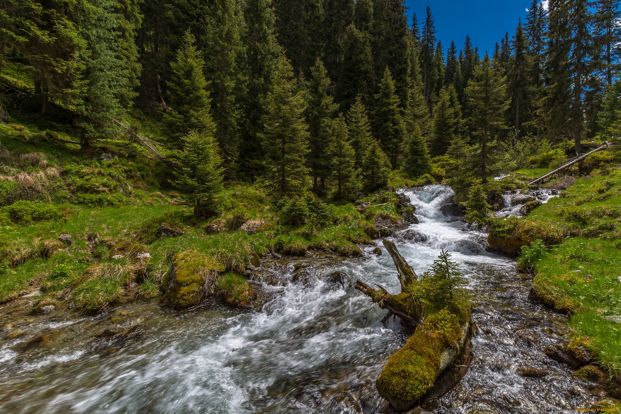 природа, реки, озера, простор