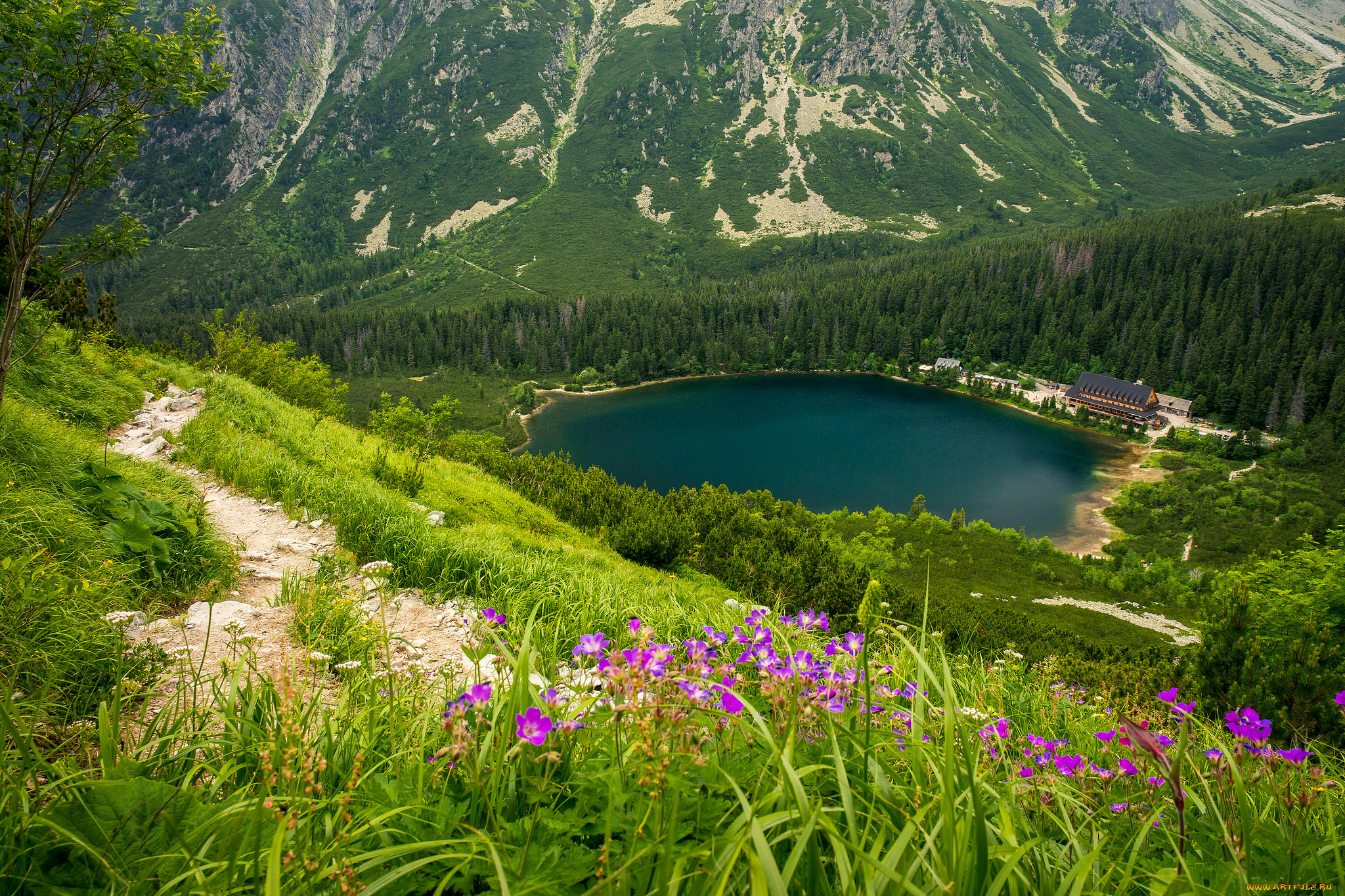 природа, реки, озера, простор