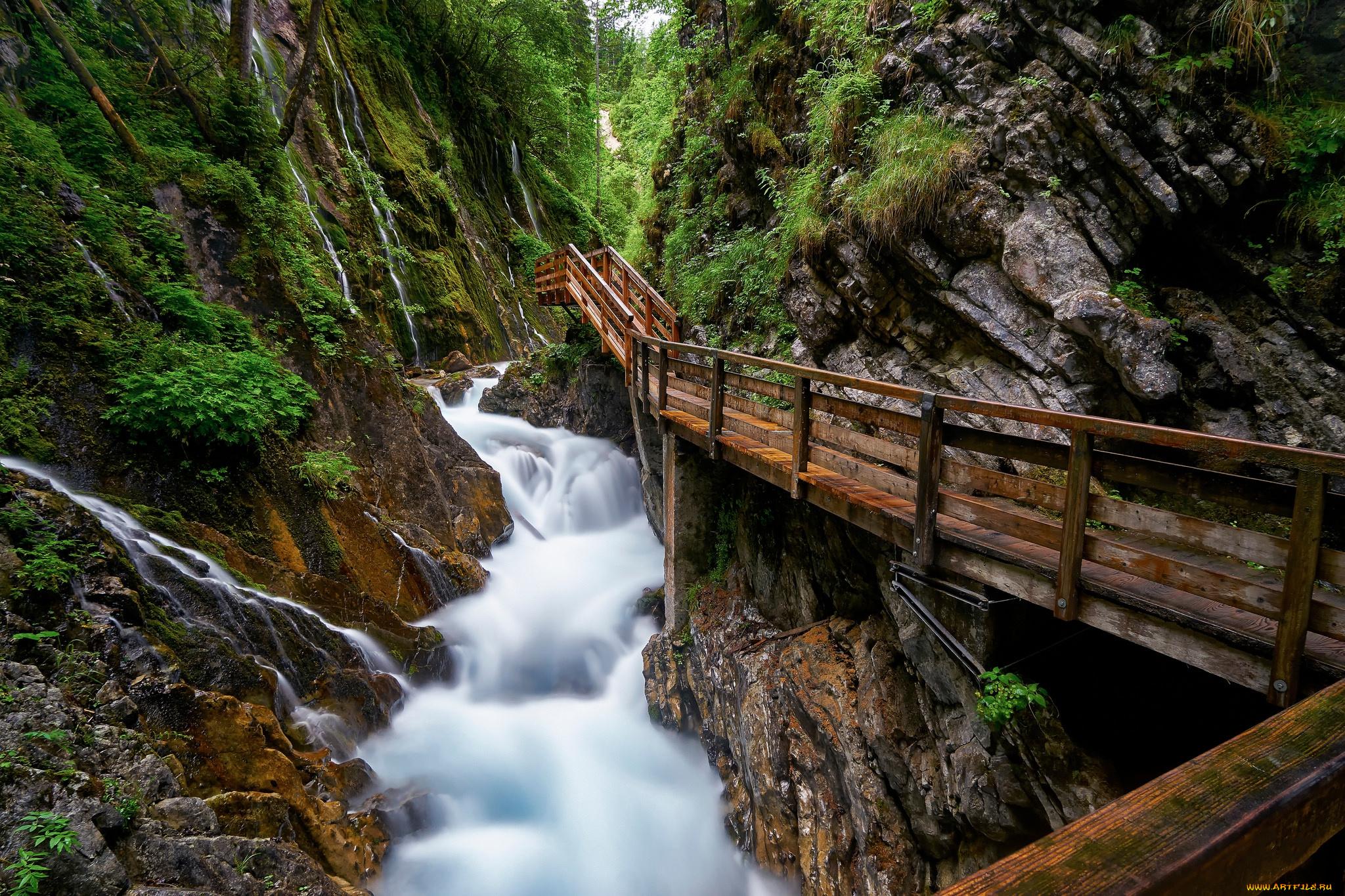 природа, реки, озера, простор