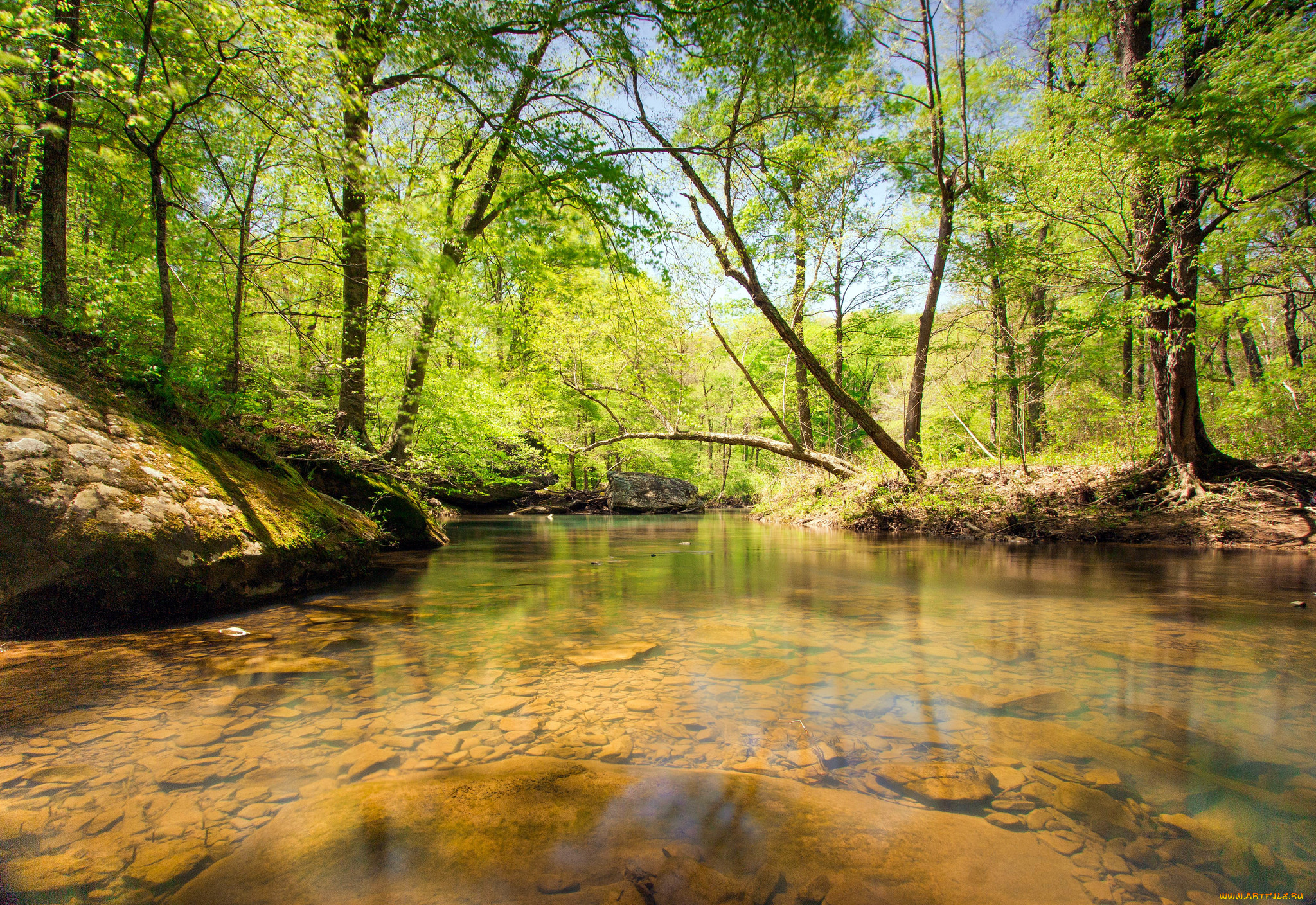 природа, реки, озера, простор