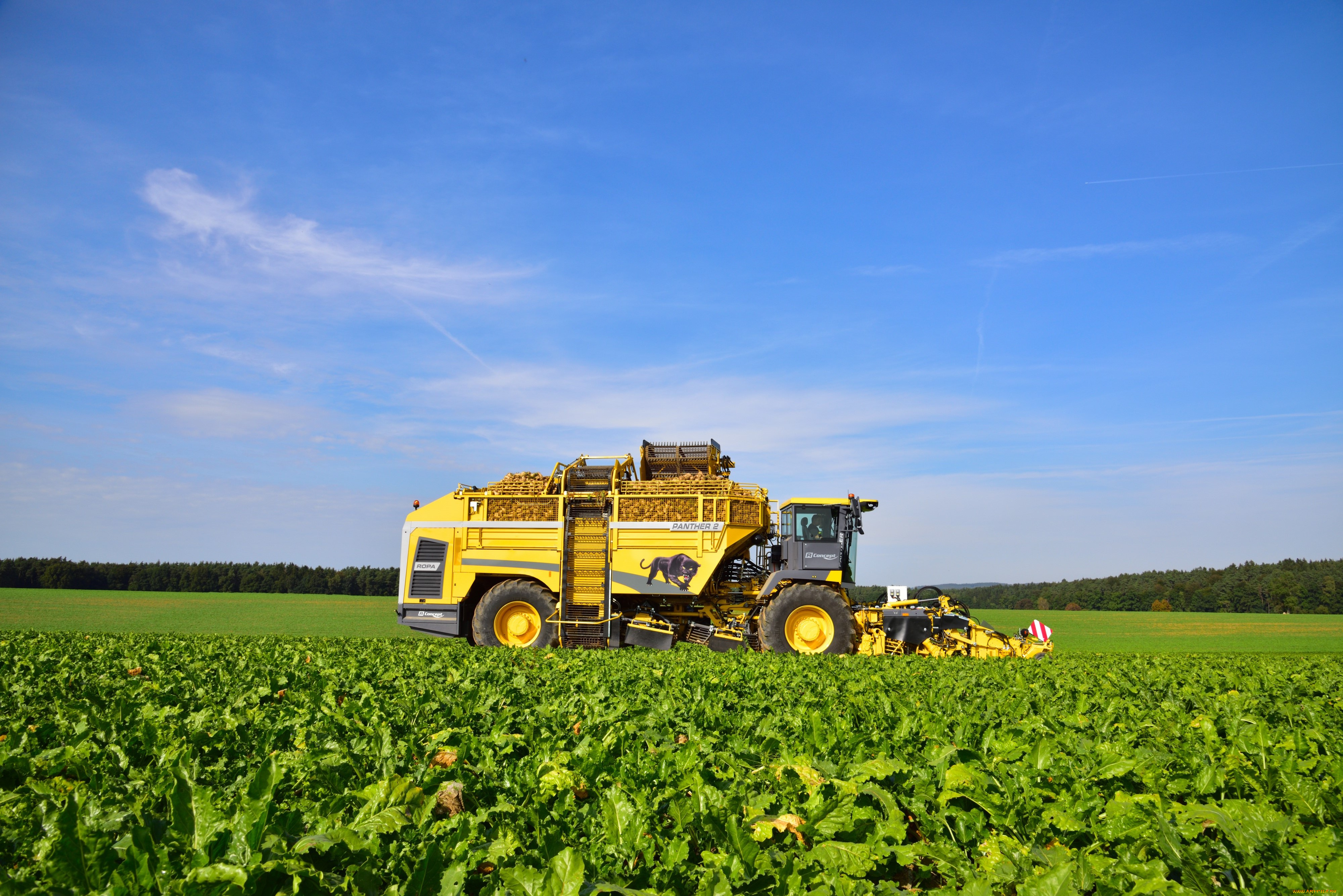 техника, комбайны, ropa