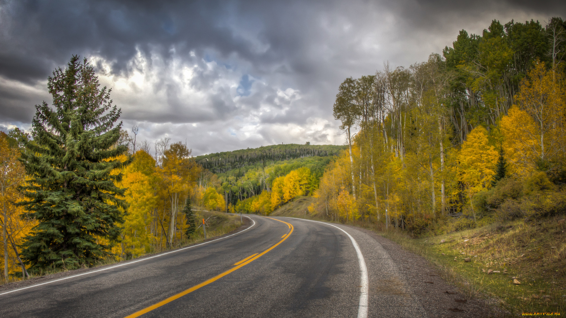 природа, дороги, простор