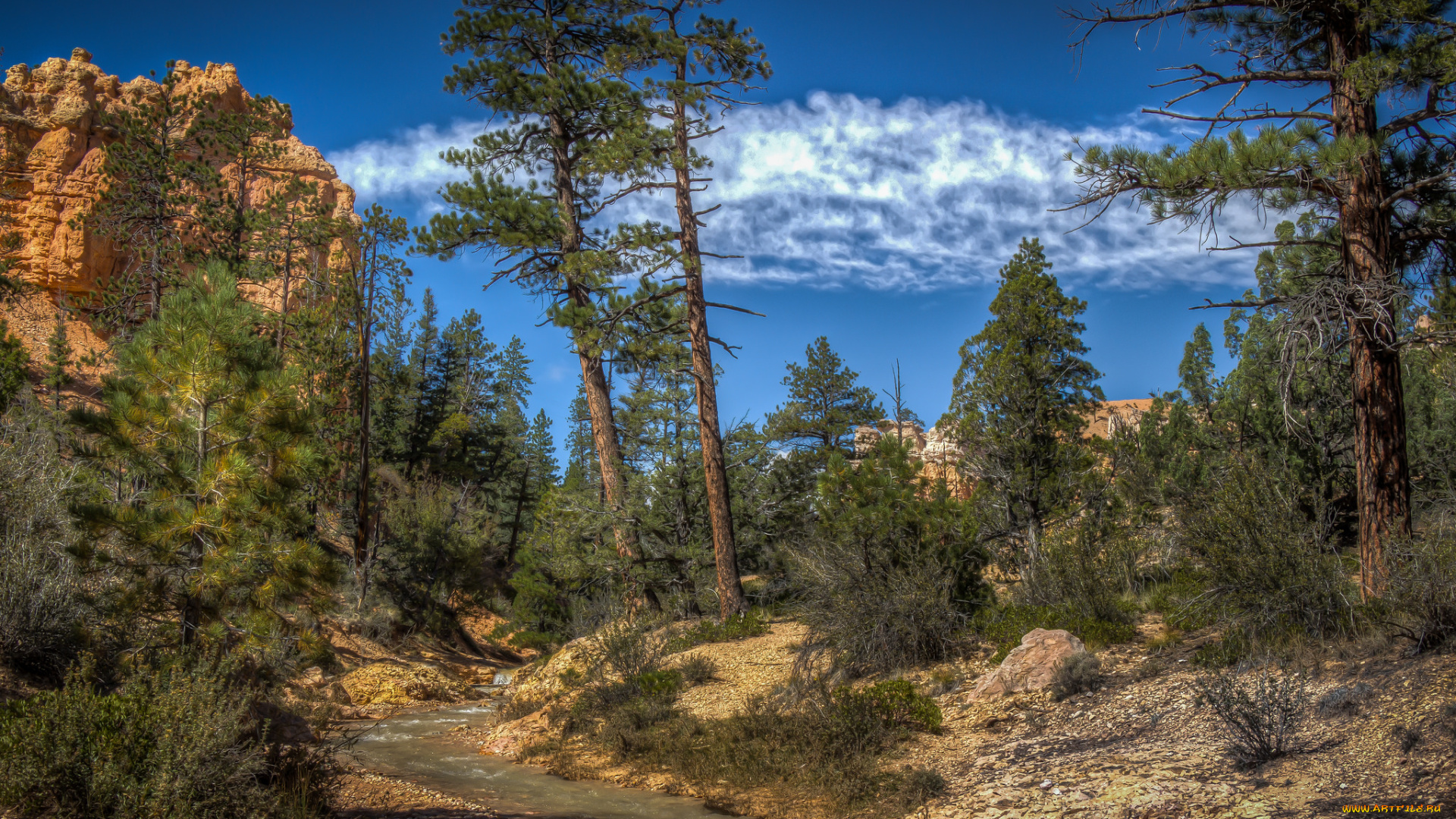 природа, горы, простор