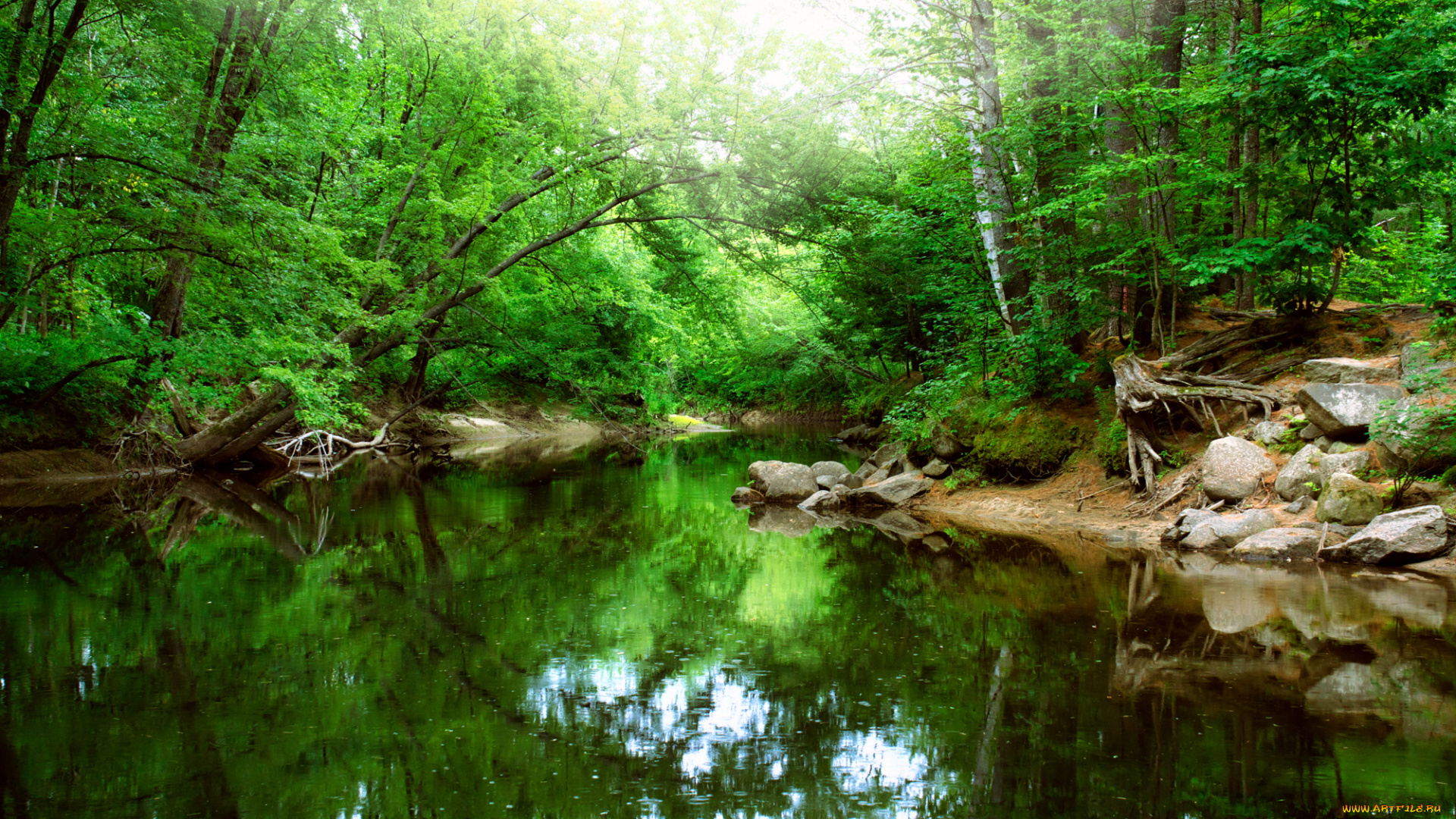 природа, реки, озера, простор