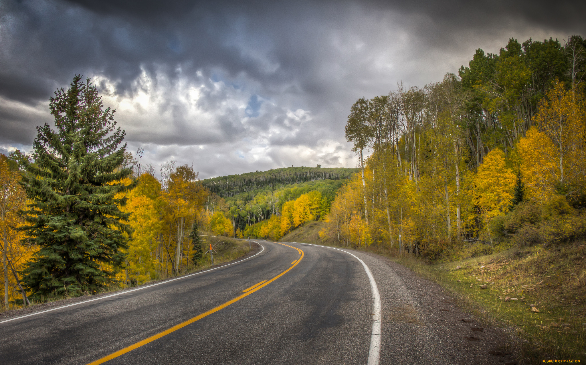 природа, дороги, простор