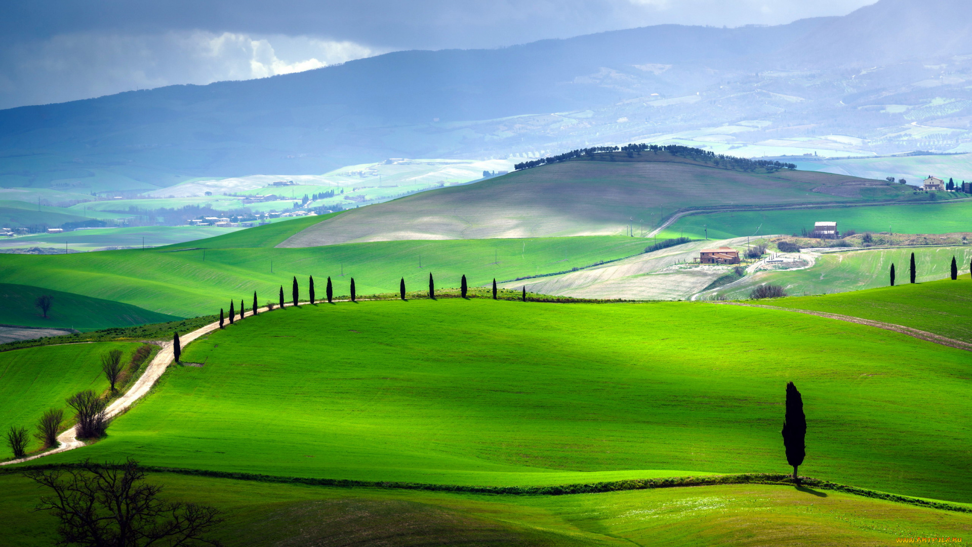 italy, tuscany, природа, дороги