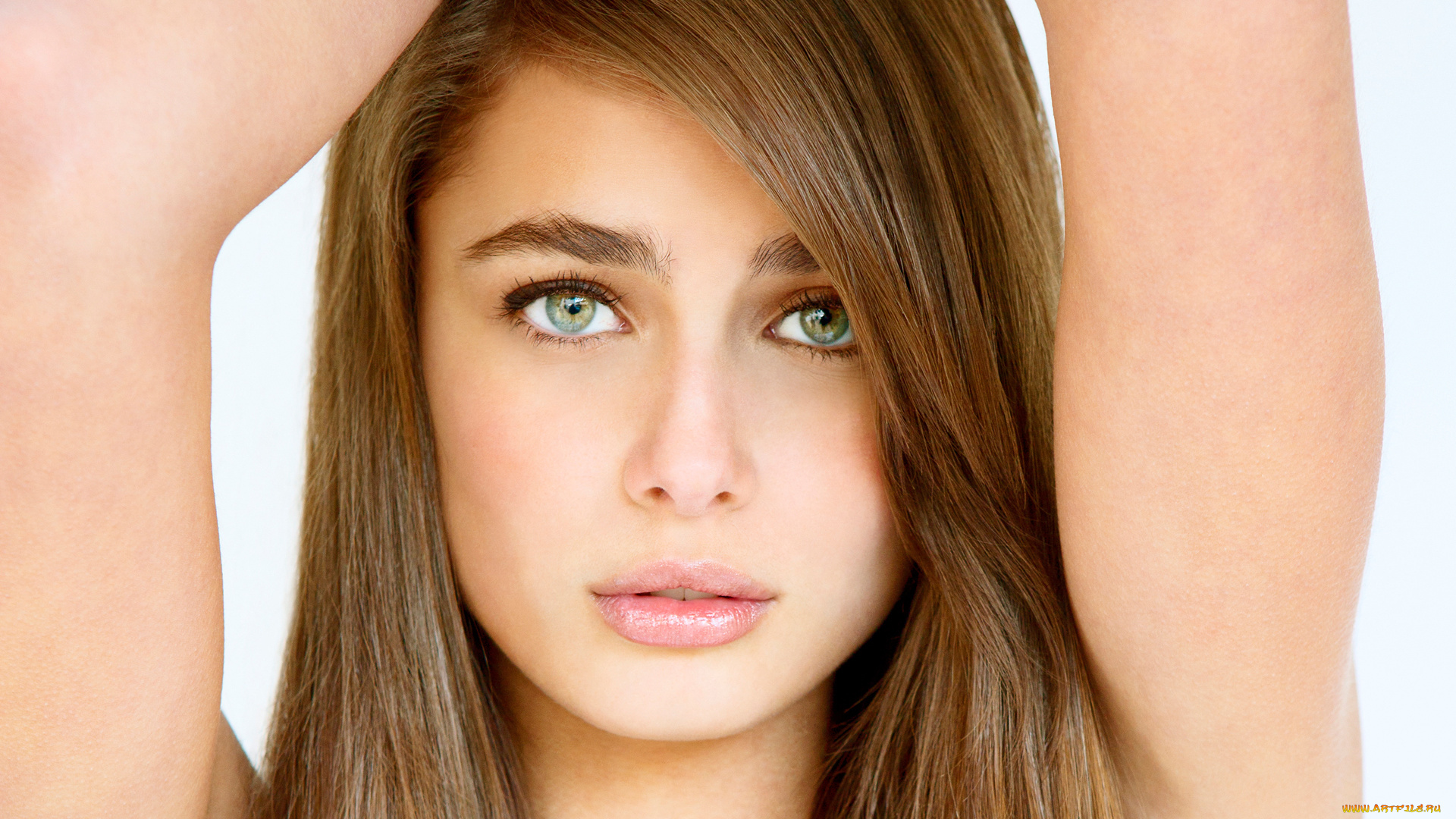 taylor, hill, девушки, taylor, hill, девушка, модель, шатенка, красотка, лицо, портрет, макияж, причёска, сексуальная, взгляд