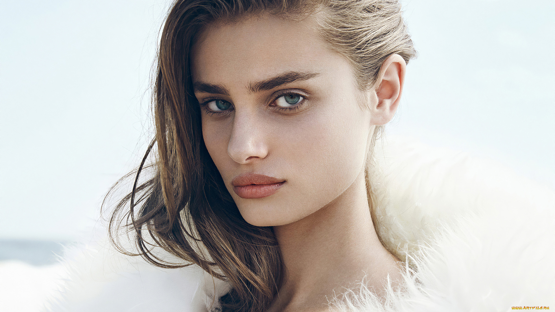 taylor, hill, девушки, taylor, hill, девушка, модель, шатенка, красотка, лицо, портрет, макияж, причёска, сексуальная, взгляд