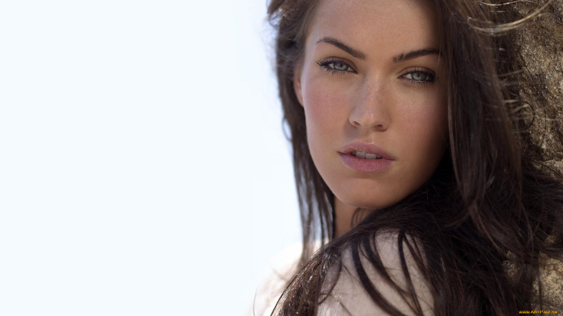 девушки, megan, fox, шатенка, лицо