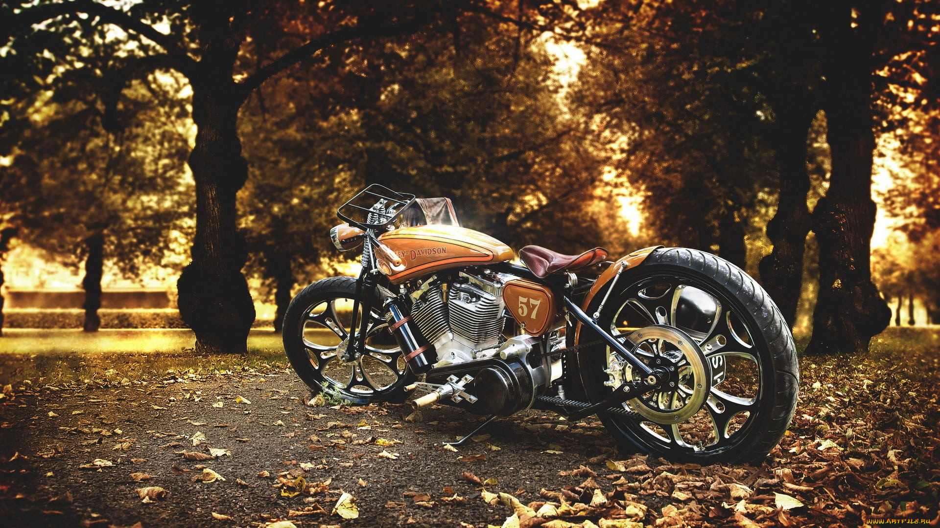 мотоциклы, harley-davidson, harley, davidson, мотоцикл, осень, парк