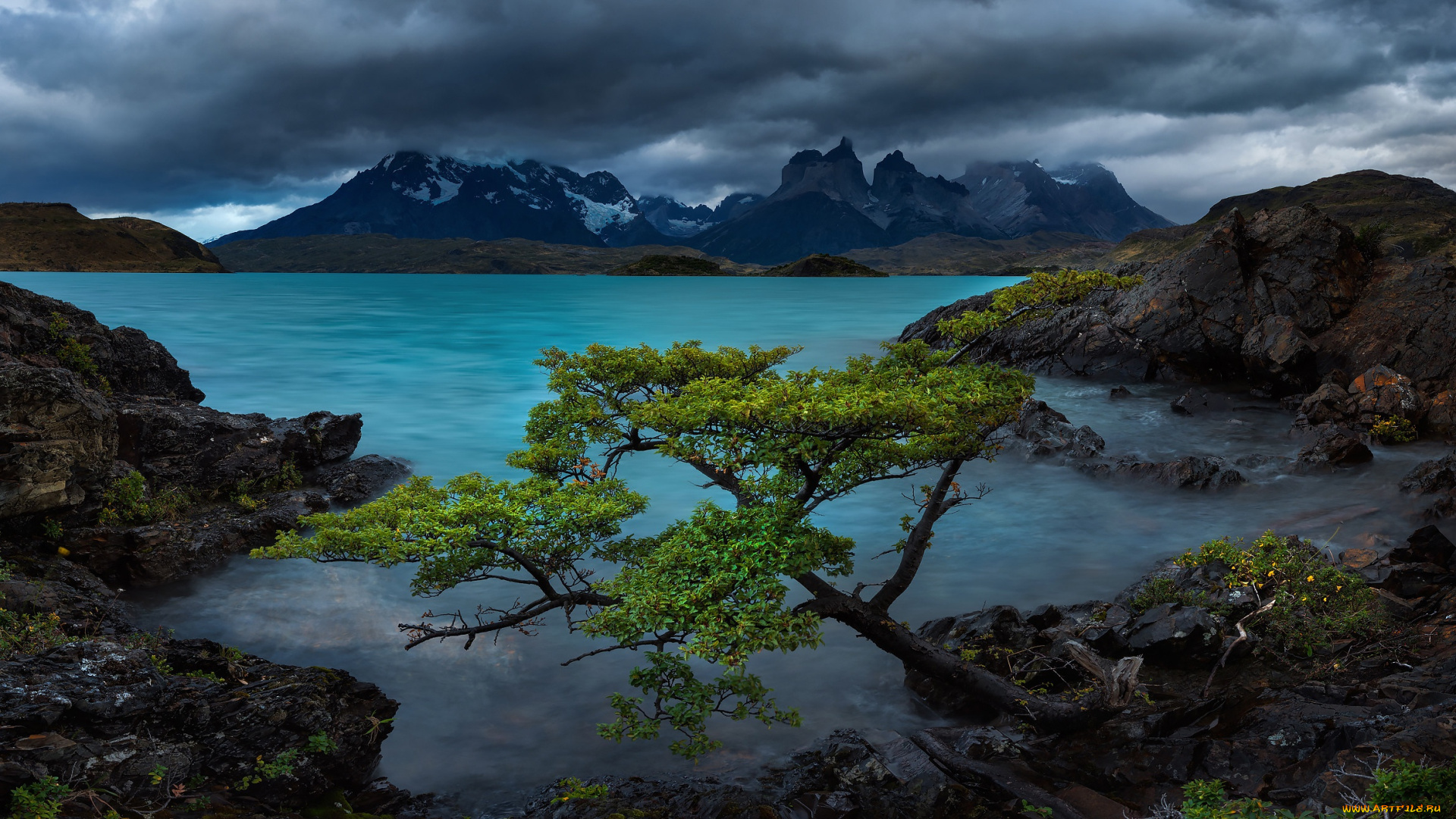природа, реки, озера, горы, озеро, дерево, скалы, чили, chile, patagonia, патагония, lake, pehoe, torres, del, paine, national, park, торрес, дель, пайне, andes, mountains, пеоэ, патагонские, анды, cordillera