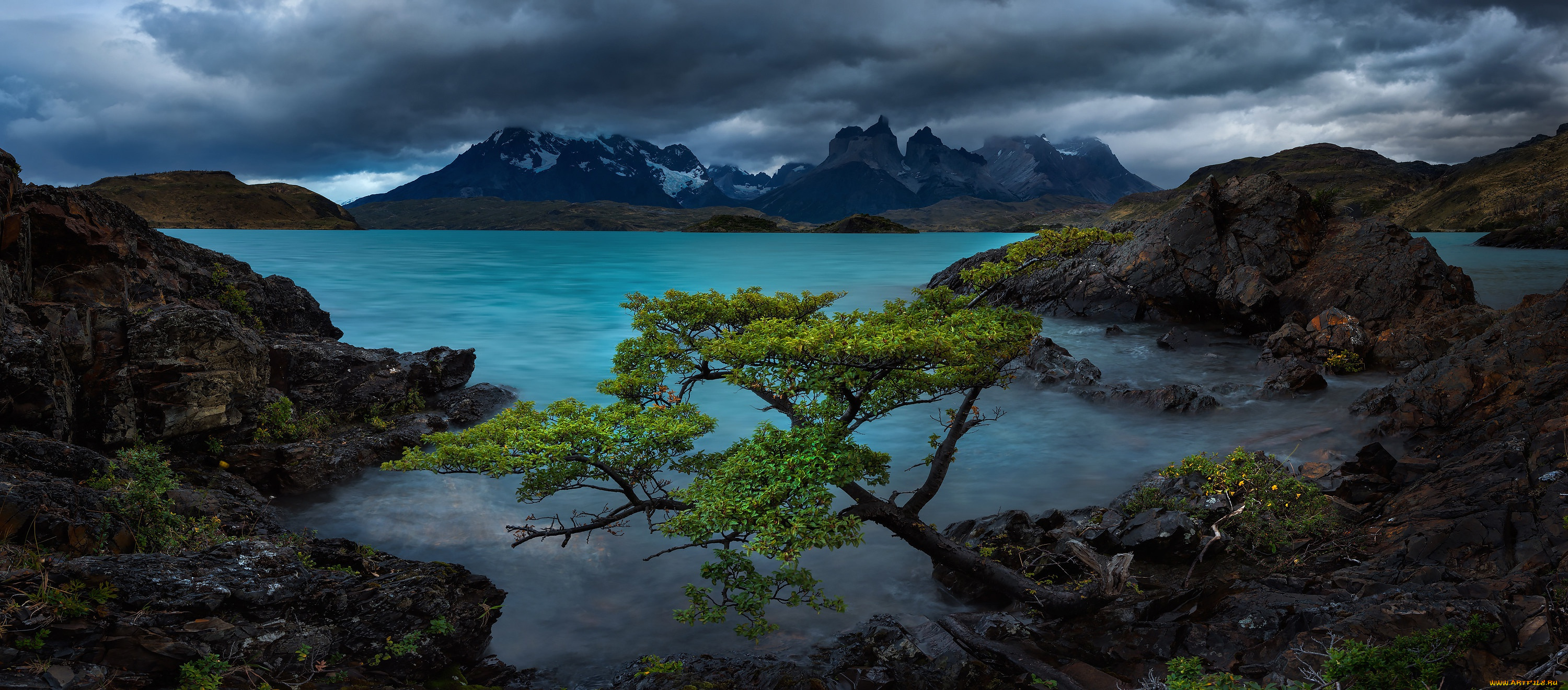 природа, реки, озера, горы, озеро, дерево, скалы, чили, chile, patagonia, патагония, lake, pehoe, torres, del, paine, national, park, торрес, дель, пайне, andes, mountains, пеоэ, патагонские, анды, cordillera