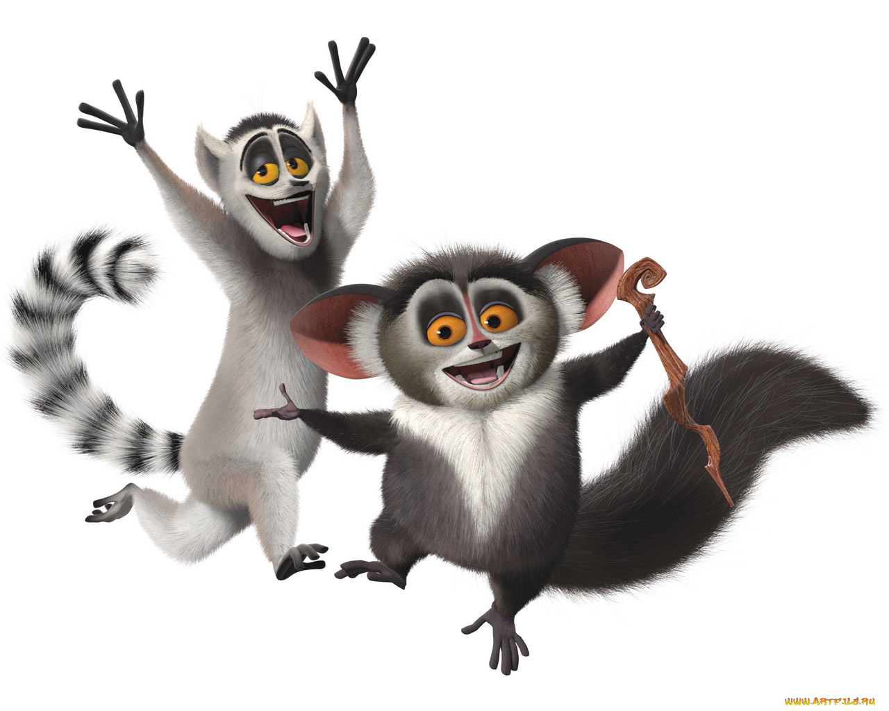 мультфильмы, madagascar
