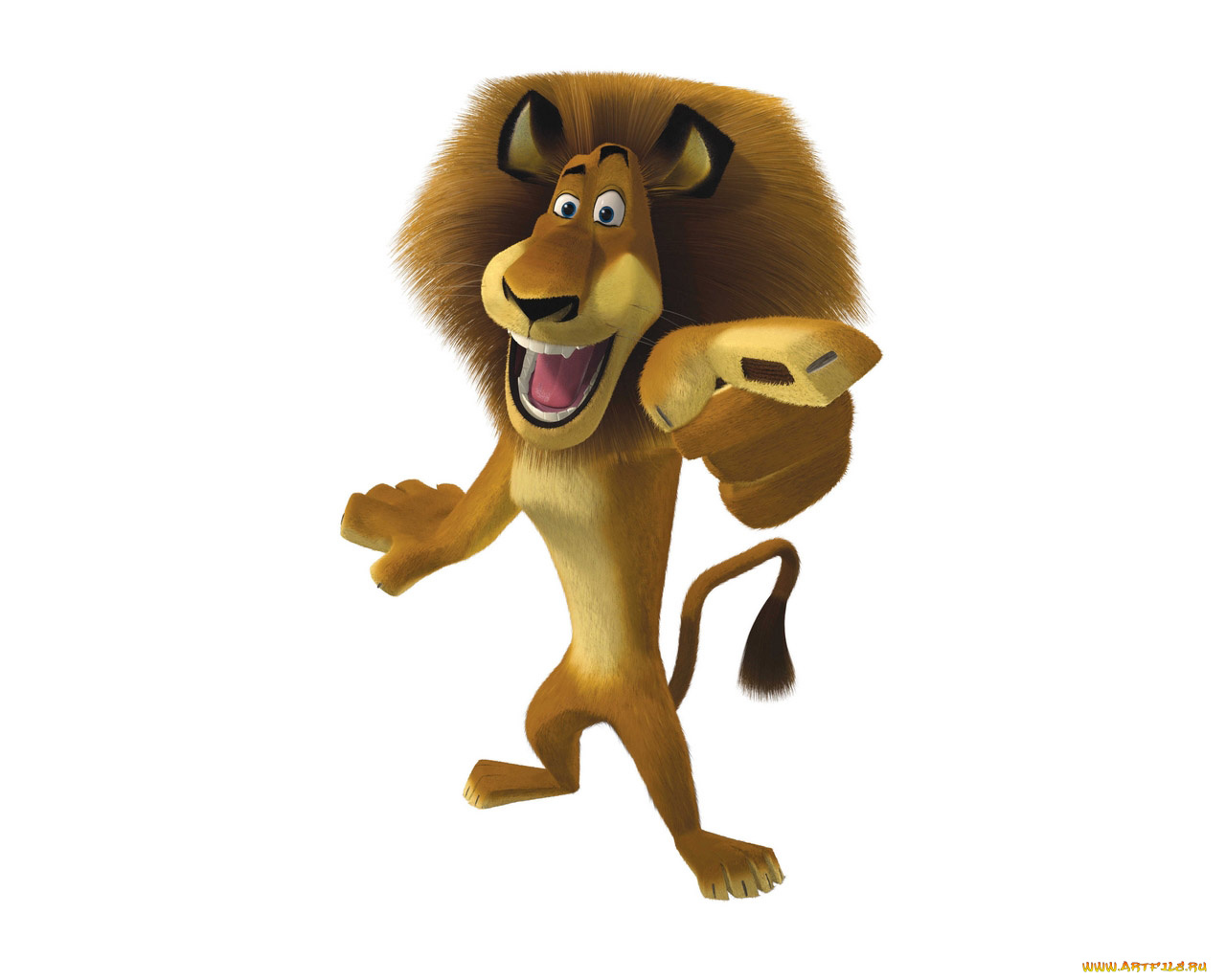 мультфильмы, madagascar