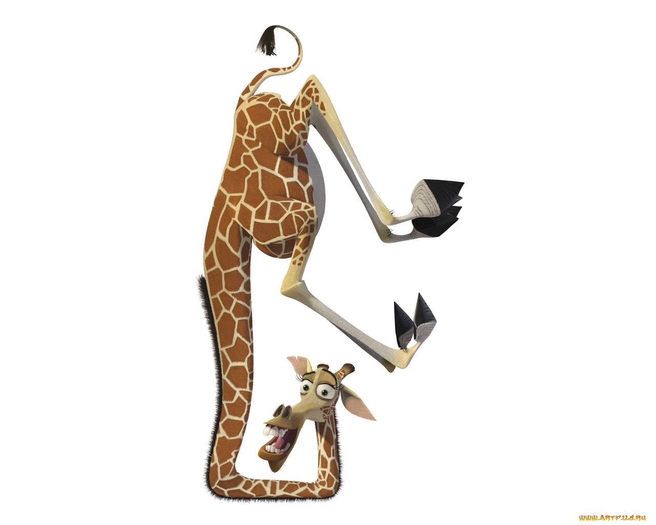 мультфильмы, madagascar