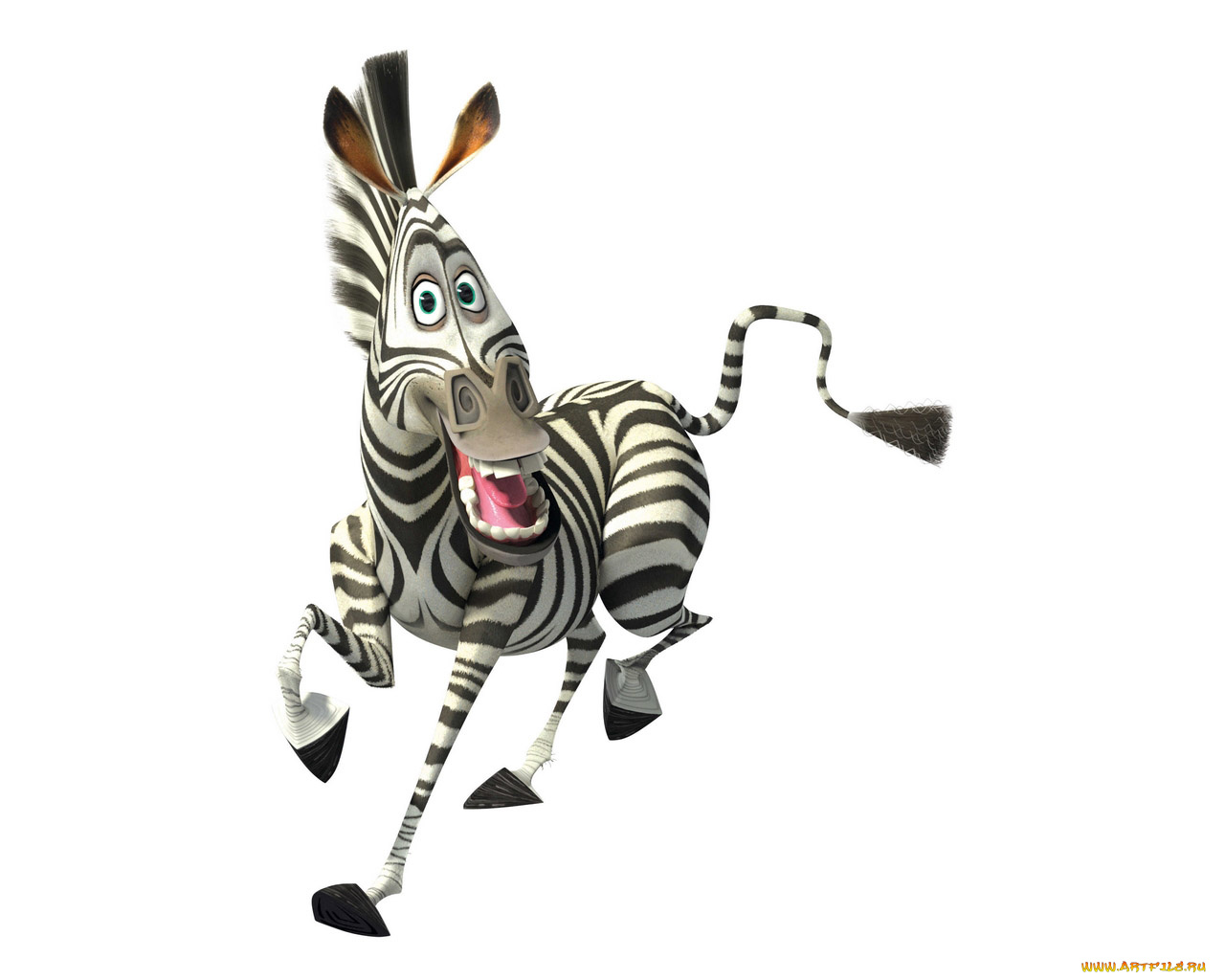 мультфильмы, madagascar