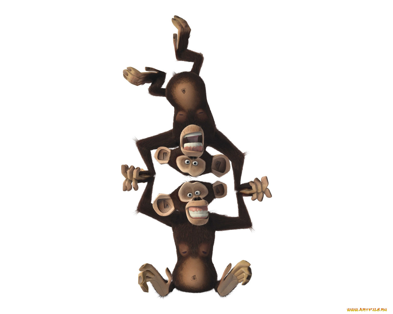 мультфильмы, madagascar