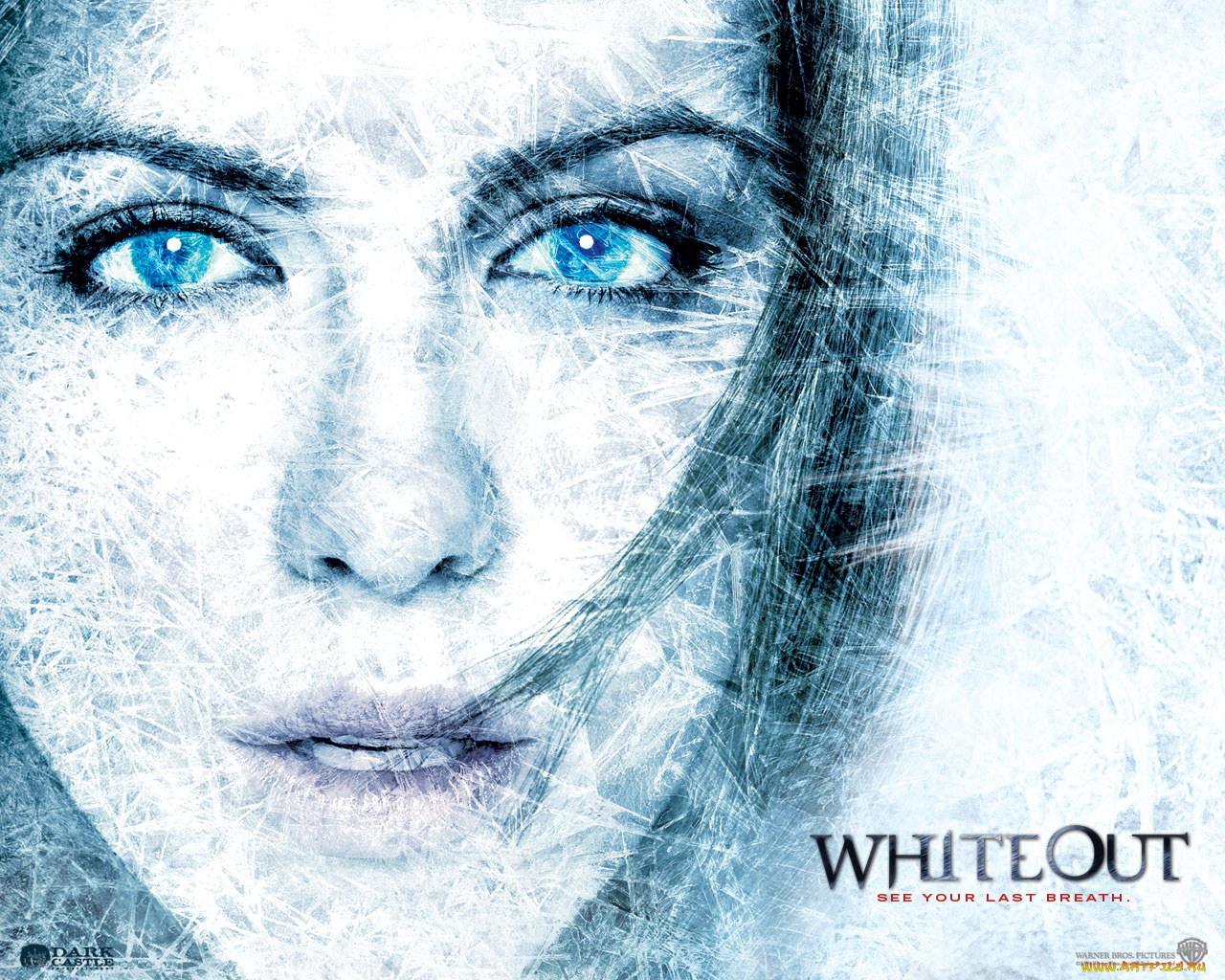 whiteout, кино, фильмы