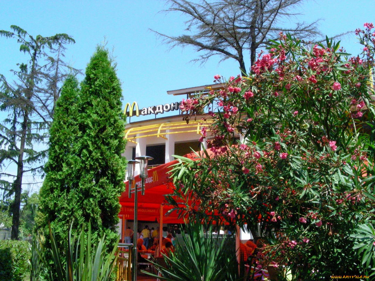 сочи, города, другое