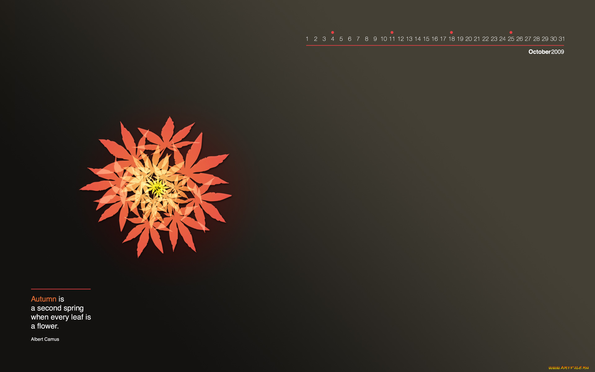 календари, рисованные, векторная, графика