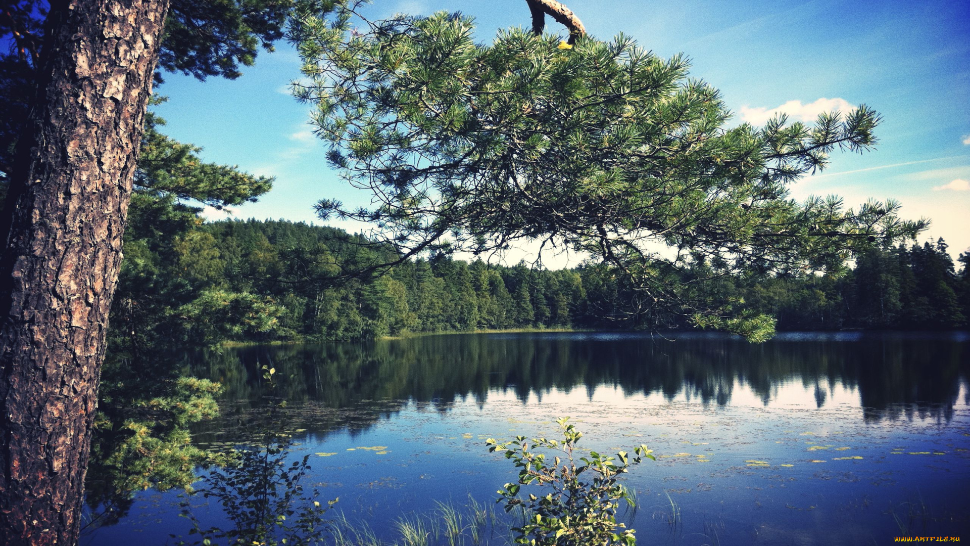 природа, реки, озера