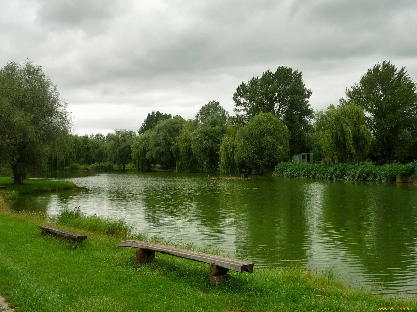 природа, реки, озера, деревья, скамейки, трава, река
