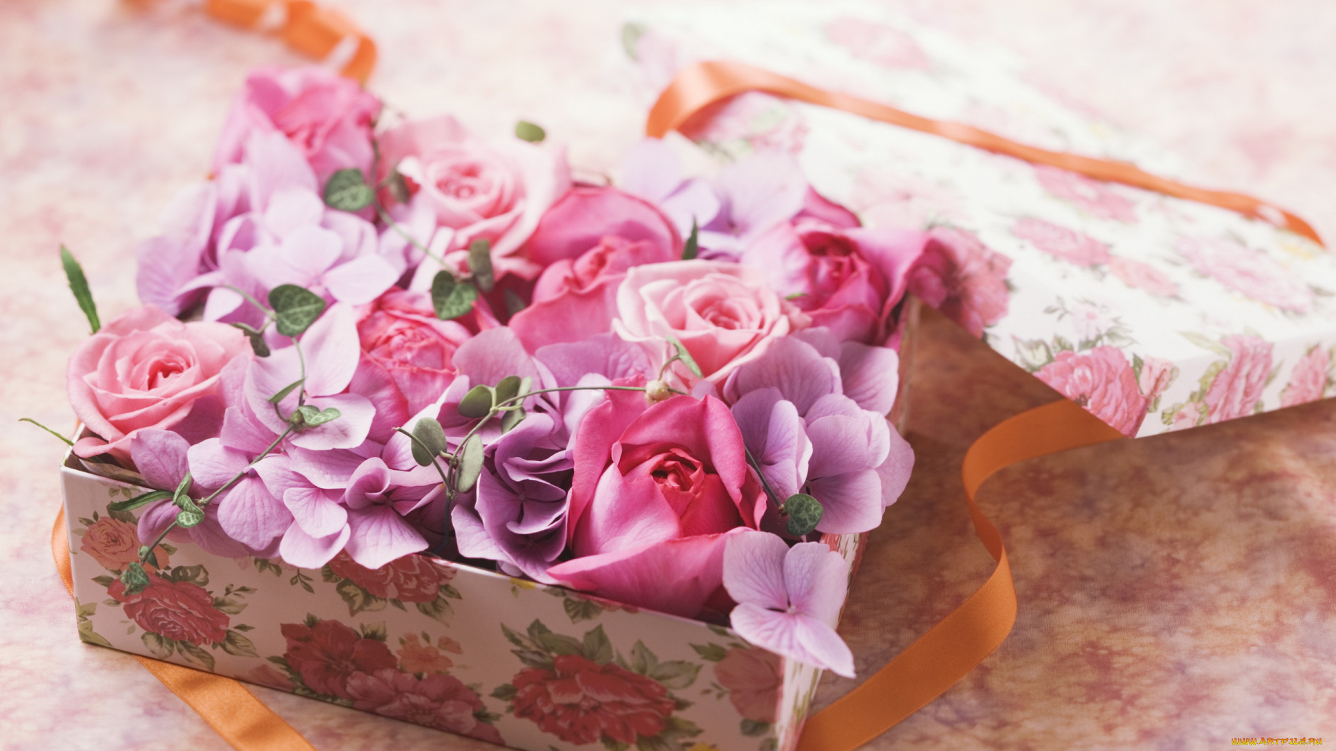 цветы, разные, вместе, розы, гортензия, коробочка