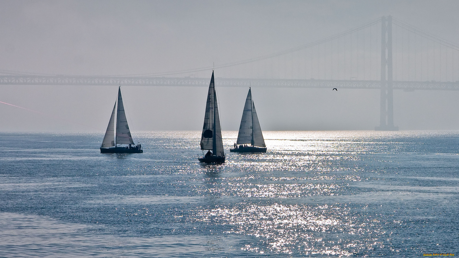 корабли, Яхты, мост