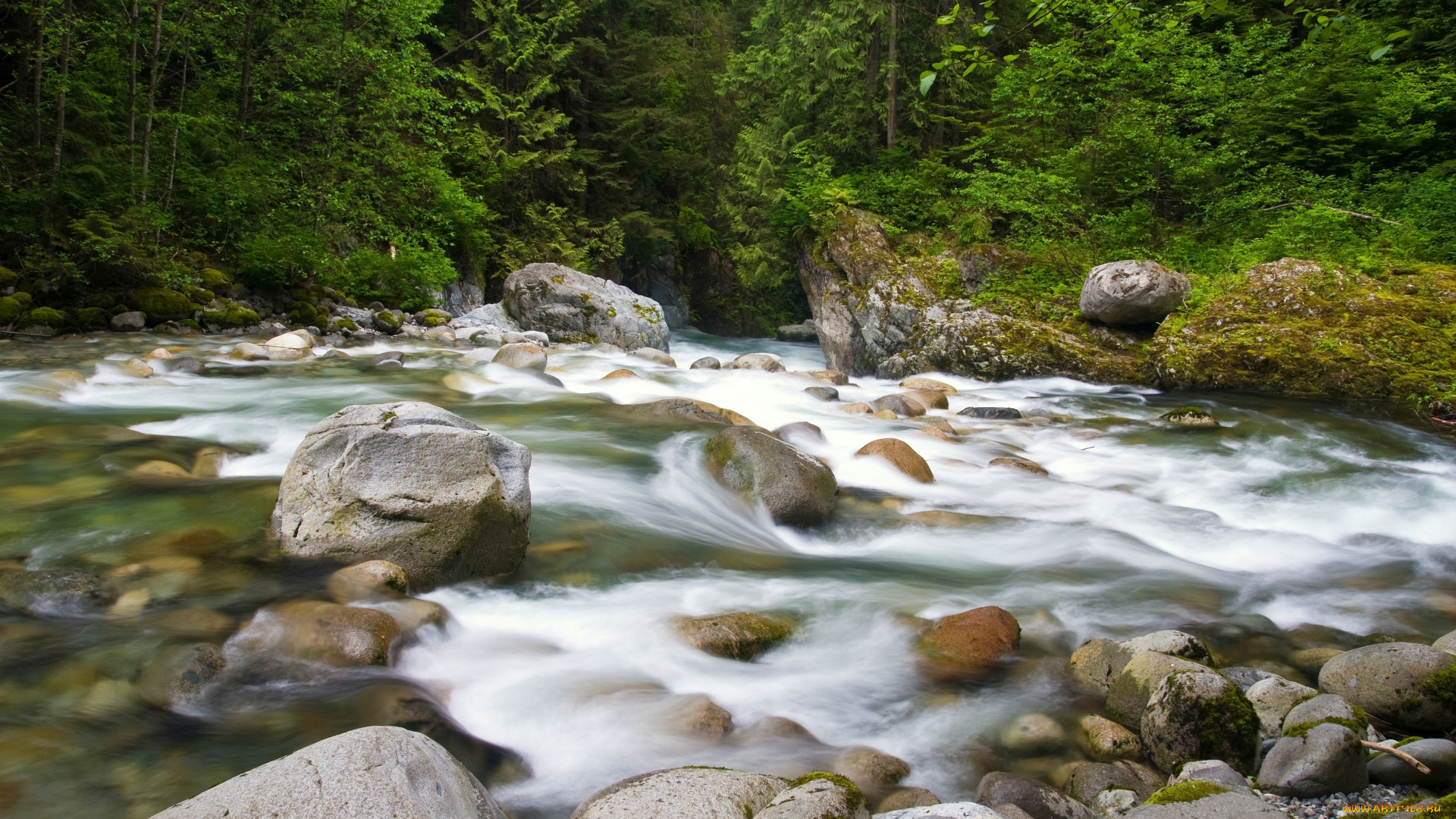 природа, реки, озера, течение, лес, камни