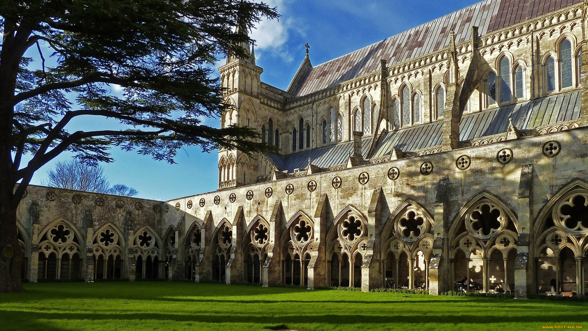 собор, солсбери, англия, города, католические, соборы, костелы, аббатства, арки, окна, розетки