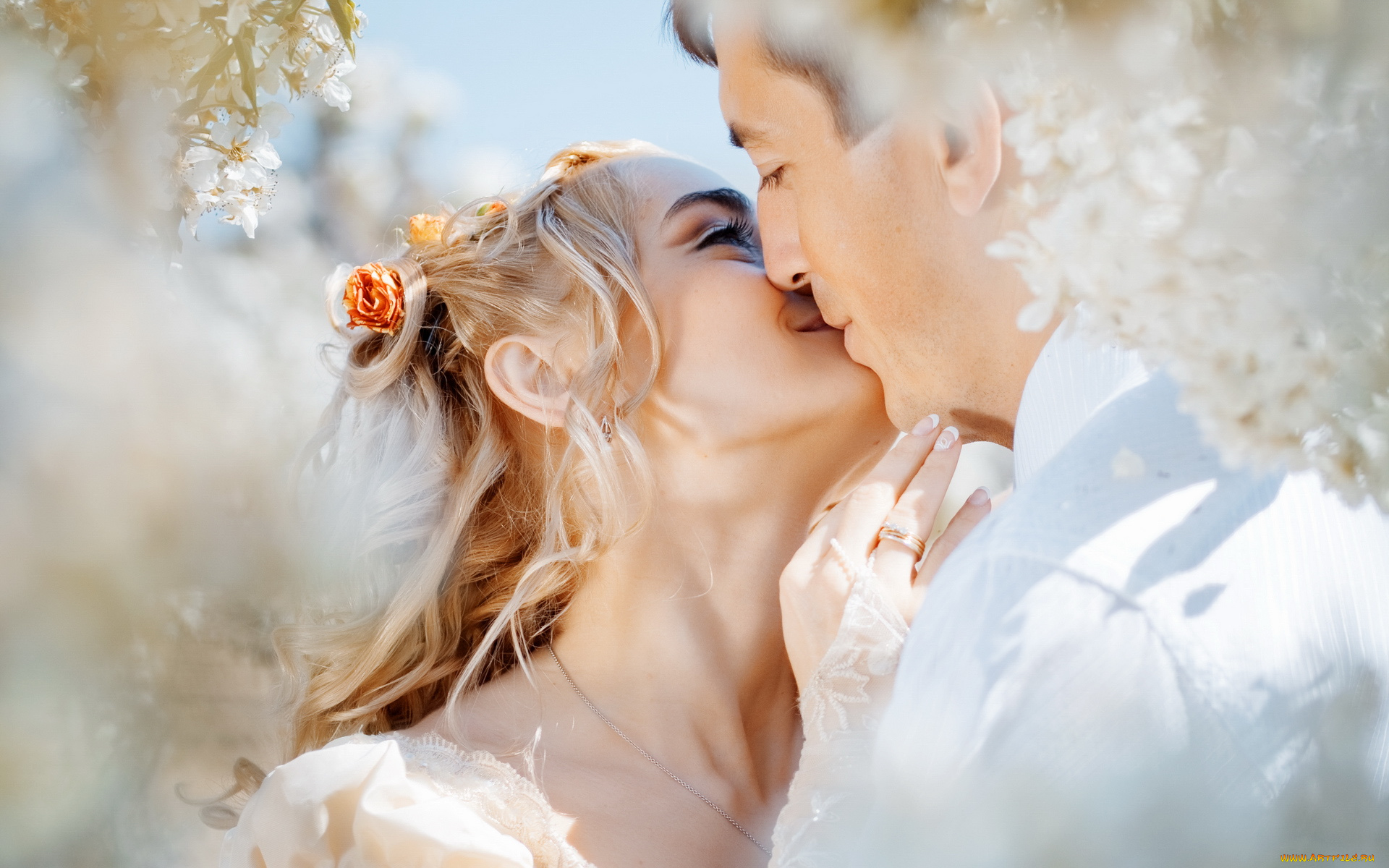 разное, мужчина, женщина, свадьба, поцелуй, любовь, жених, невеста