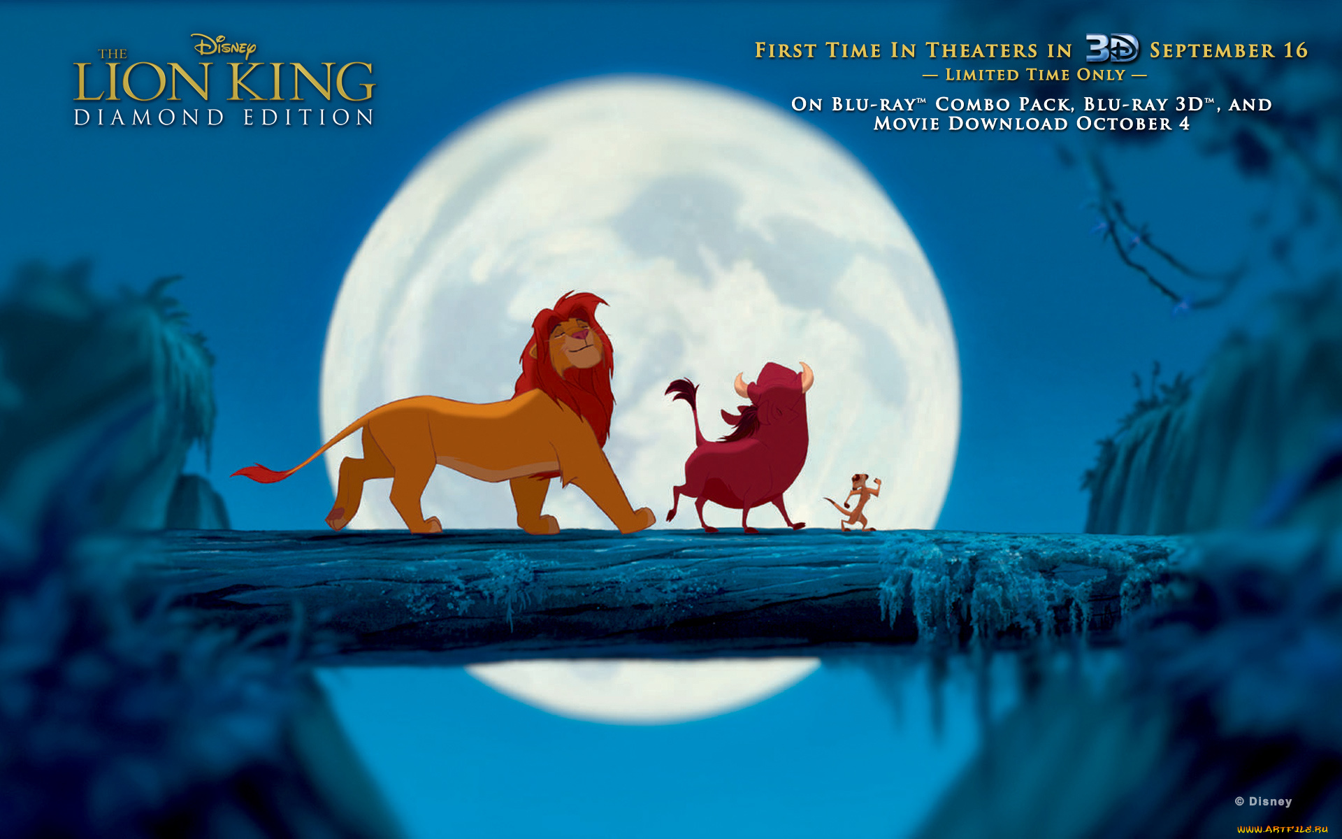 the, lion, king, 3d, мультфильмы, simba, симба, тимон, пумба, pumbaa, timon