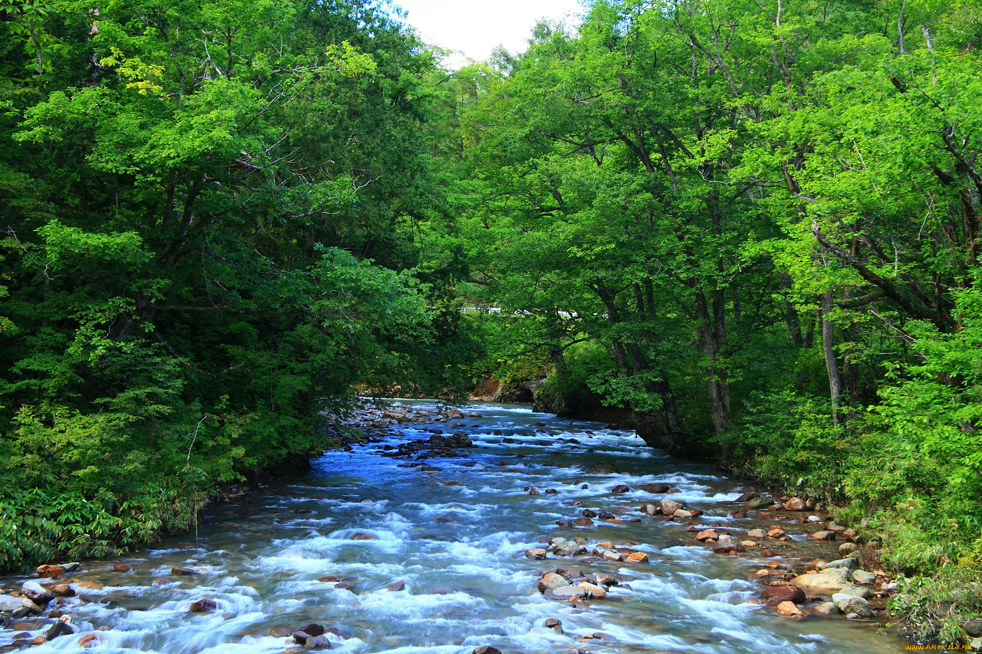 природа, реки, озера, деревья, река, камни