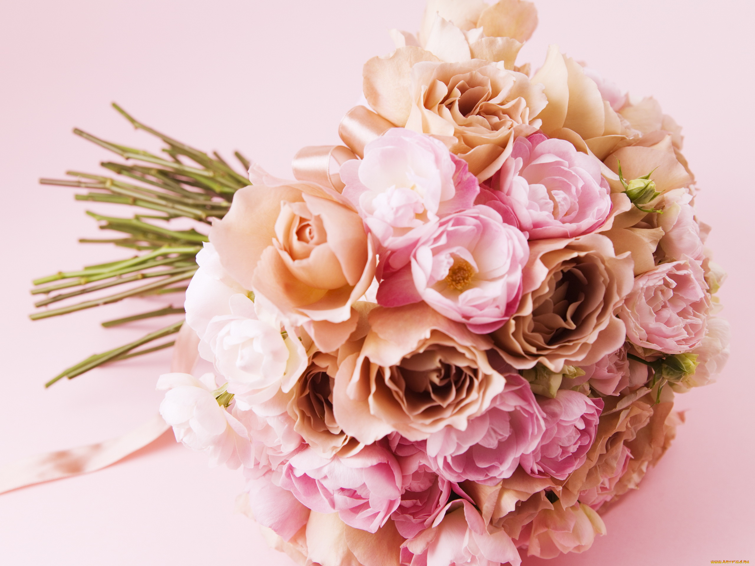 цветы, букеты, композиции, розы