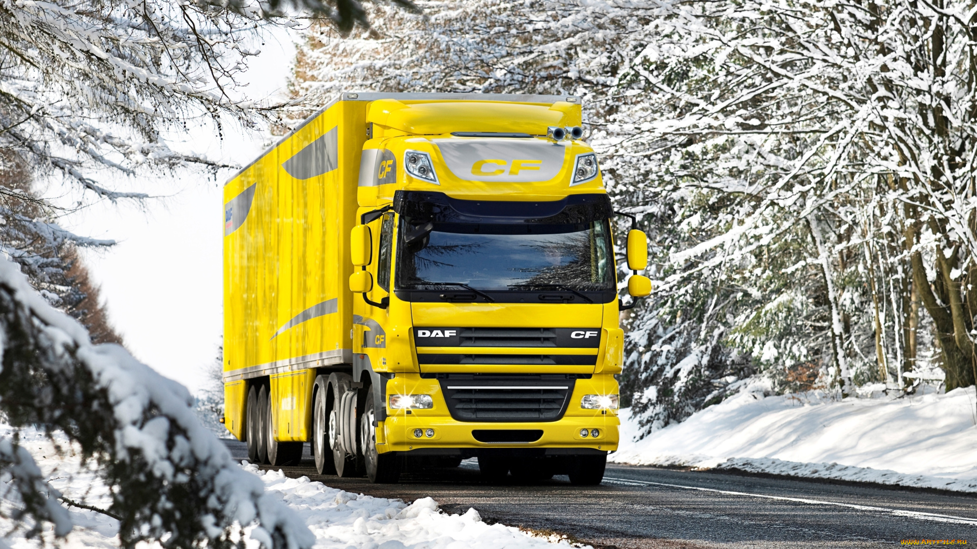 автомобили, daf, cf, truck, зима, снег, дорога
