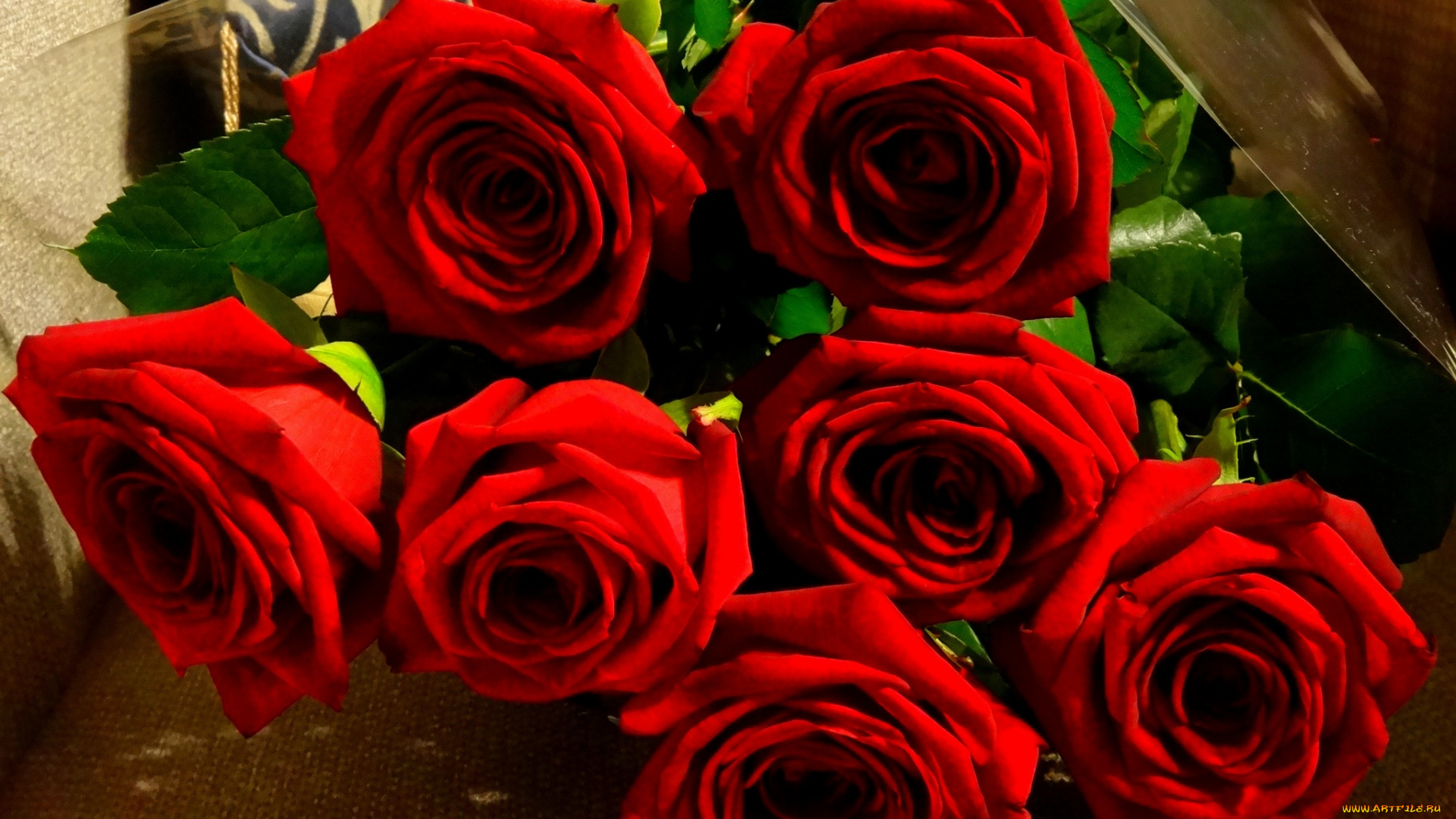 цветы, розы, букет