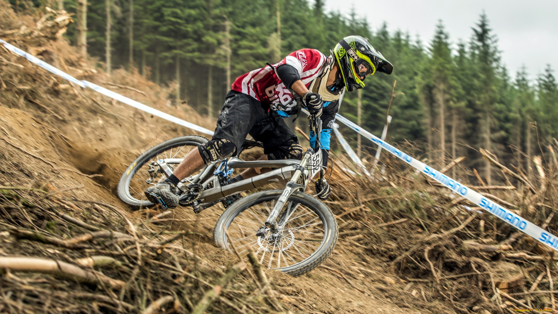 спорт, велоспорт, гонка