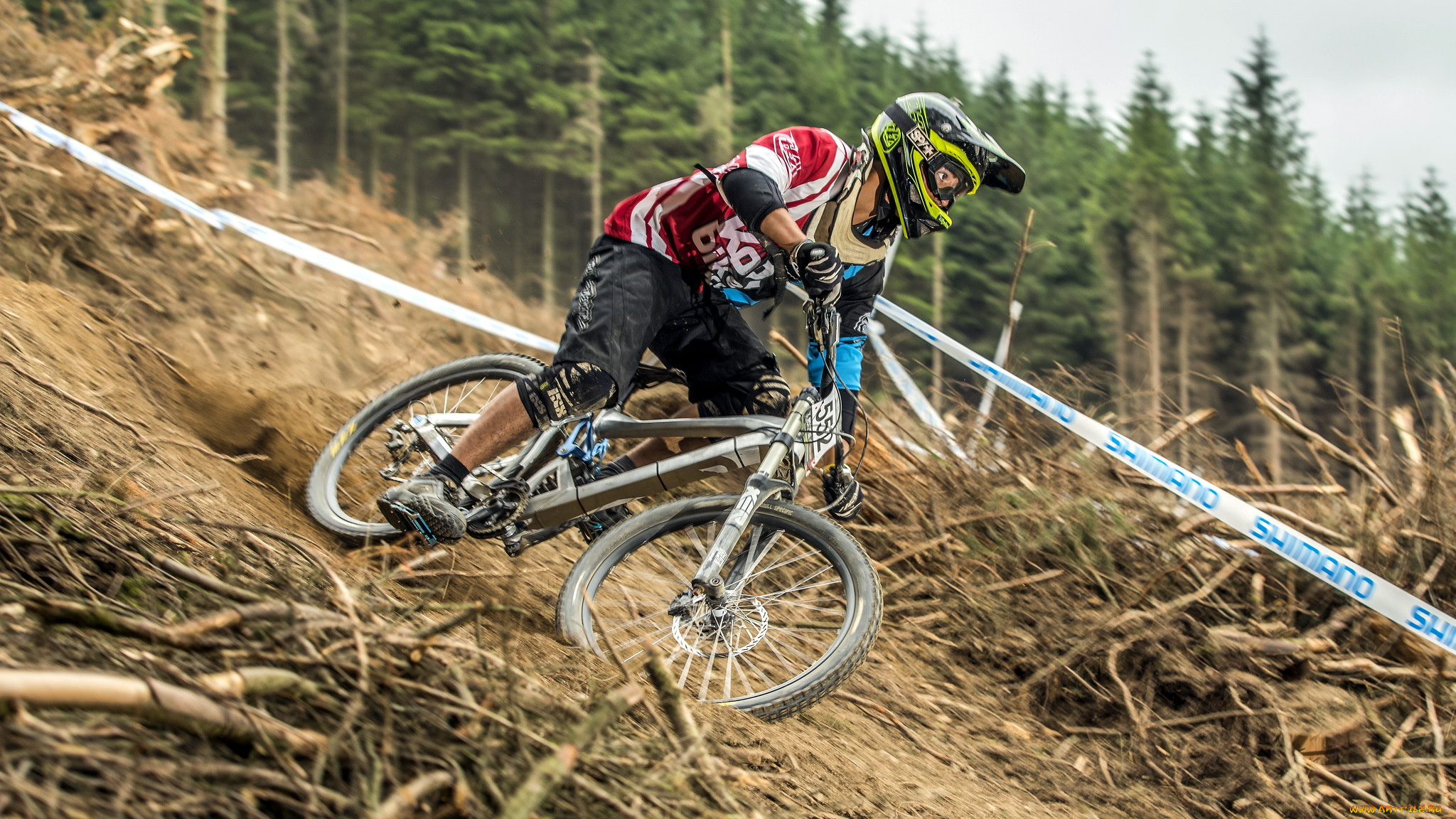 спорт, велоспорт, гонка