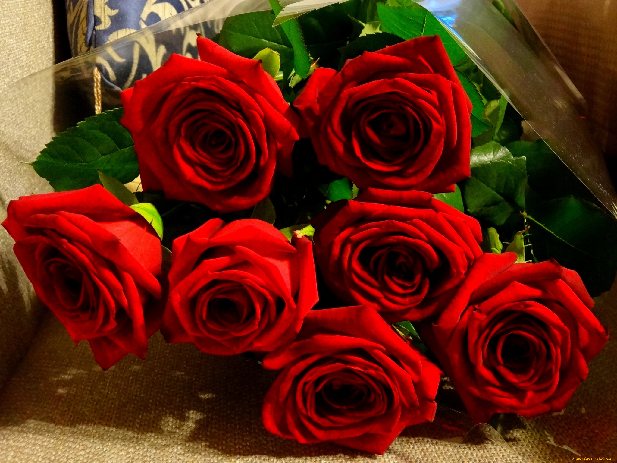 цветы, розы, букет