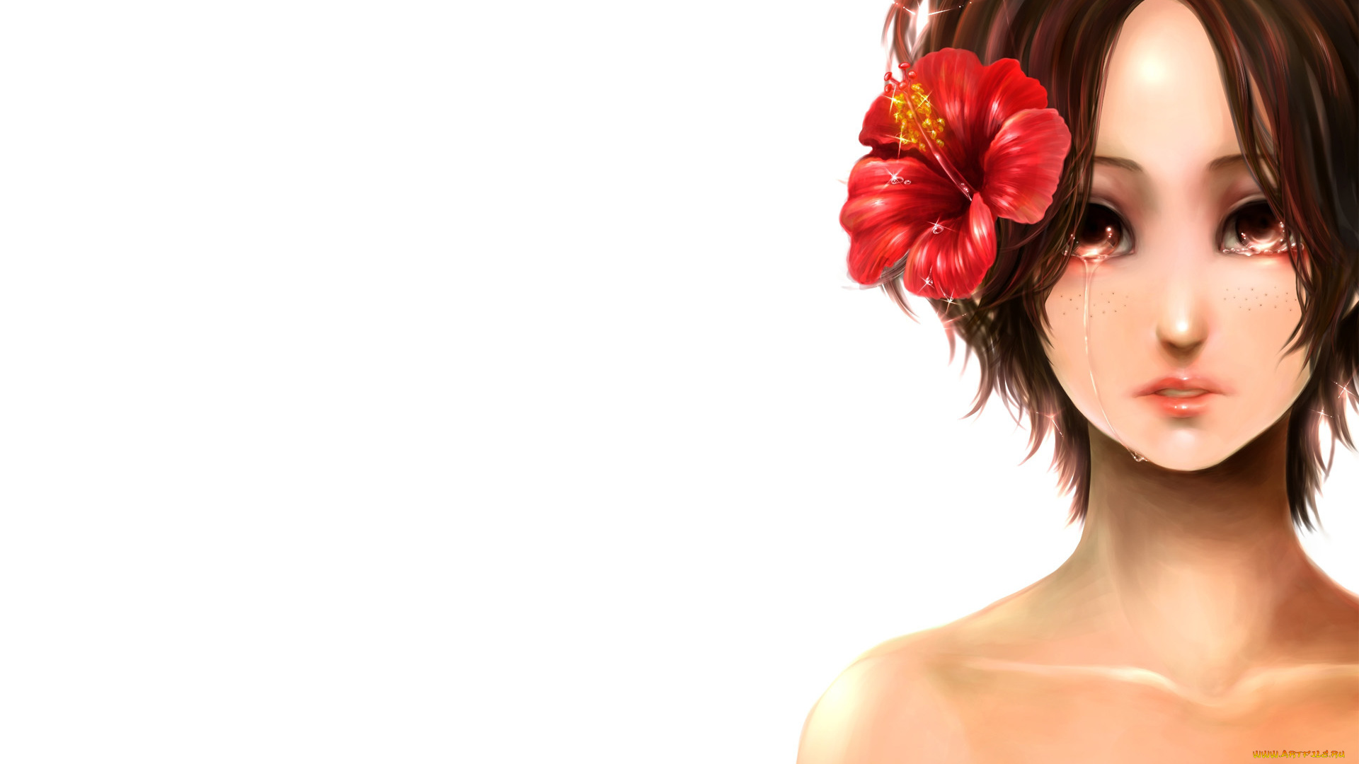 аниме, one, piece, арт, one, piece, portgas, d, ace, слезы, цветок, гибискус, белый, фон