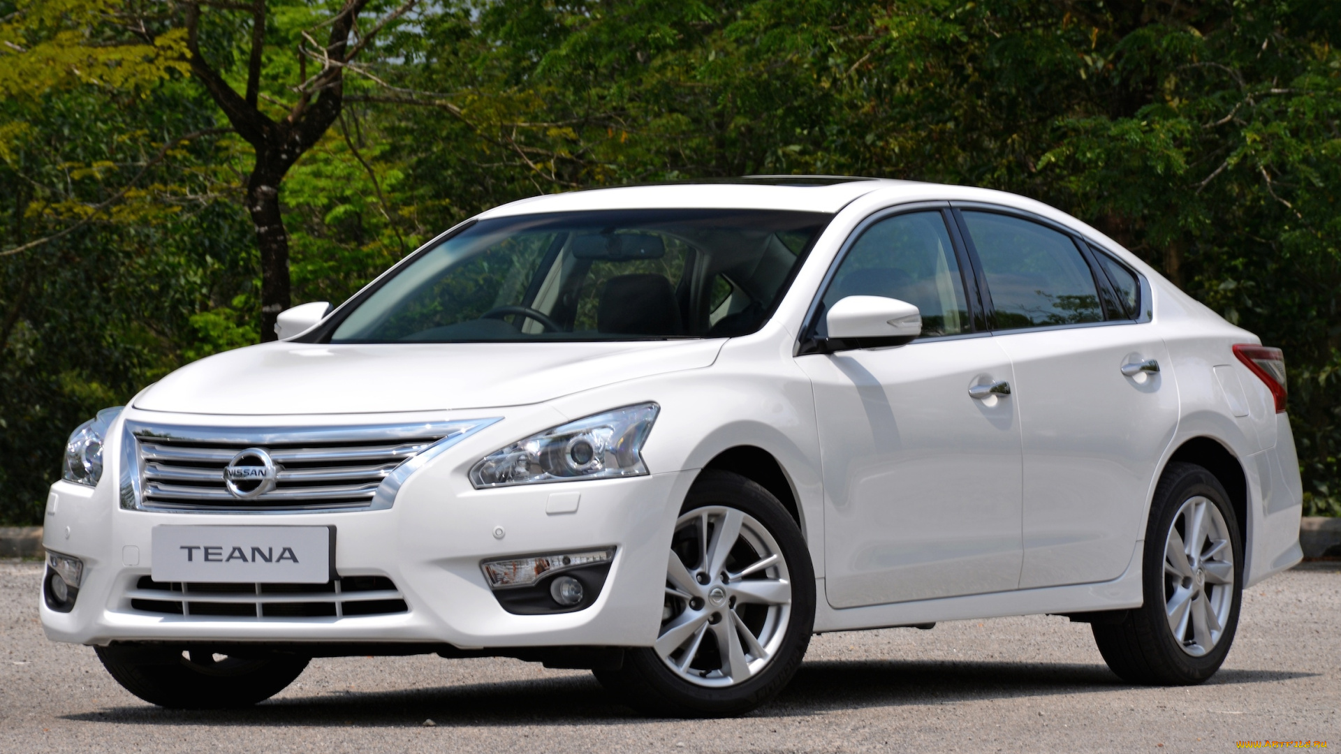 автомобили, nissan, datsun, светлый, 2014г, l33, my-spec, teana