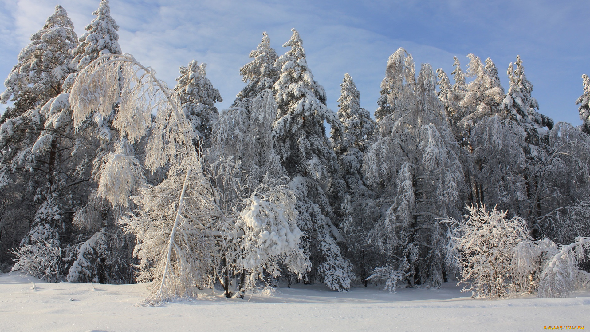природа, зима, снег, деревья